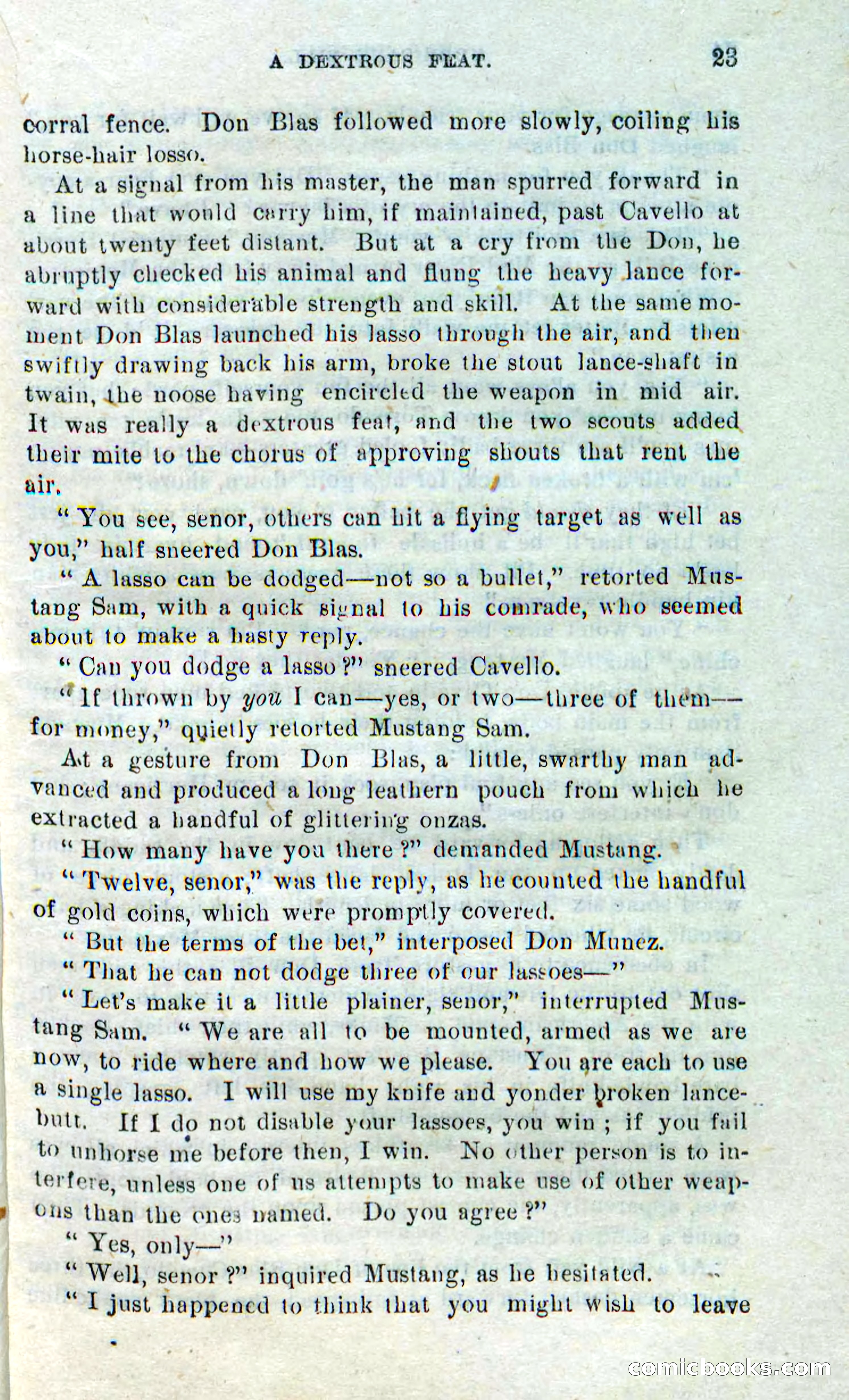 Beadle's Dime Novels No. 316: Hurricane Bill — page 19 of 100