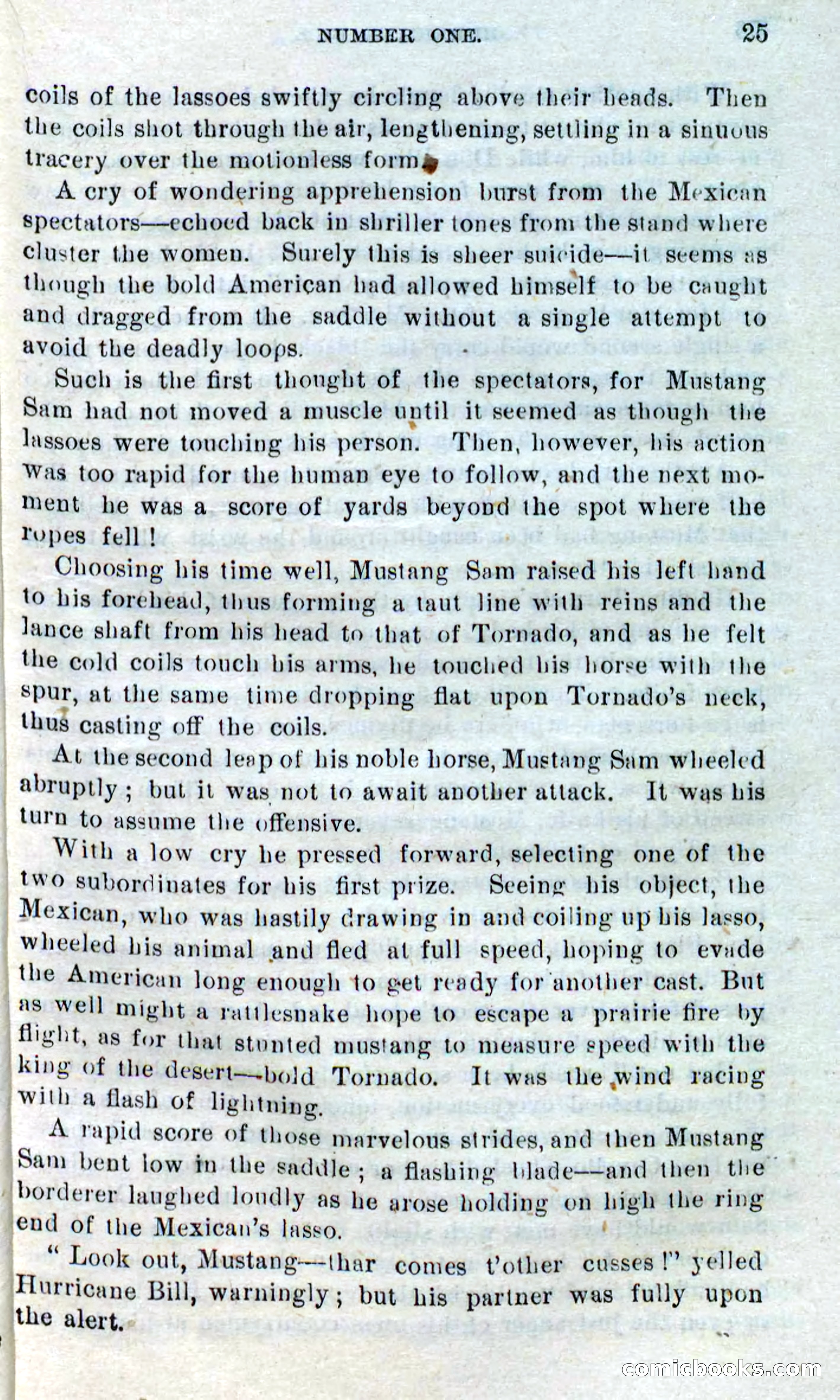 Beadle's Dime Novels No. 316: Hurricane Bill — page 21 of 100