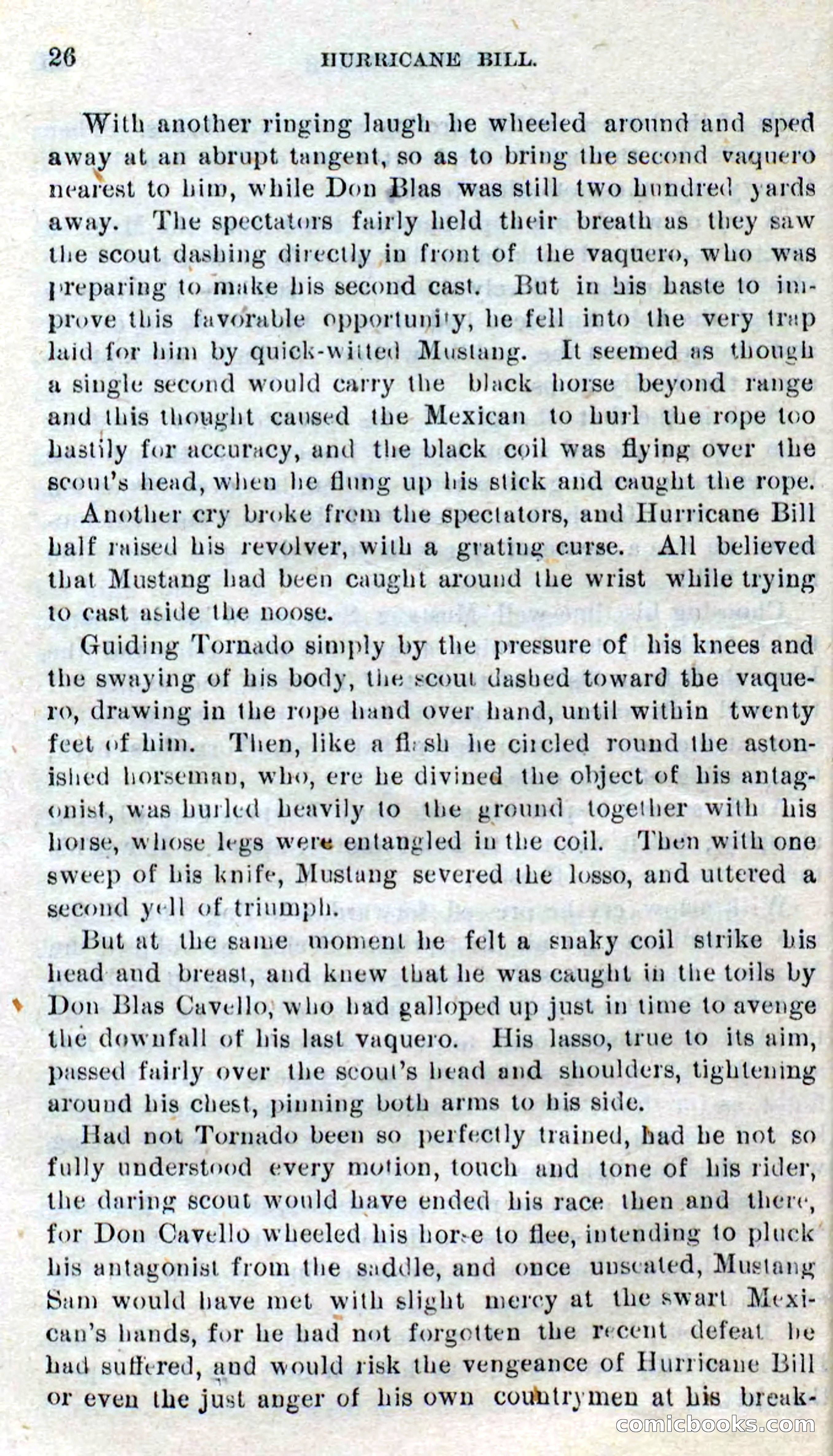 Beadle's Dime Novels No. 316: Hurricane Bill — page 22 of 100