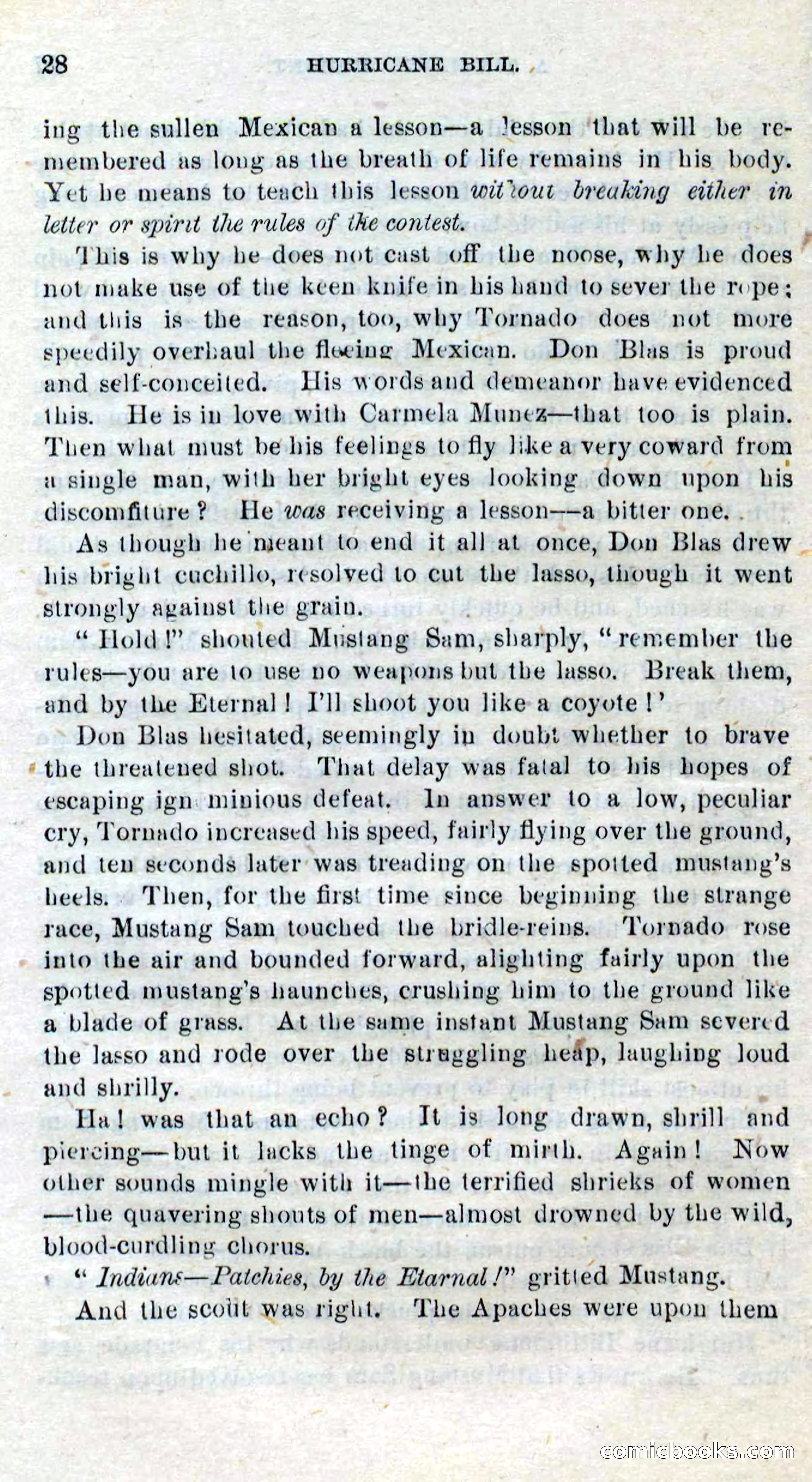 Beadle's Dime Novels No. 316: Hurricane Bill — page 24 of 100