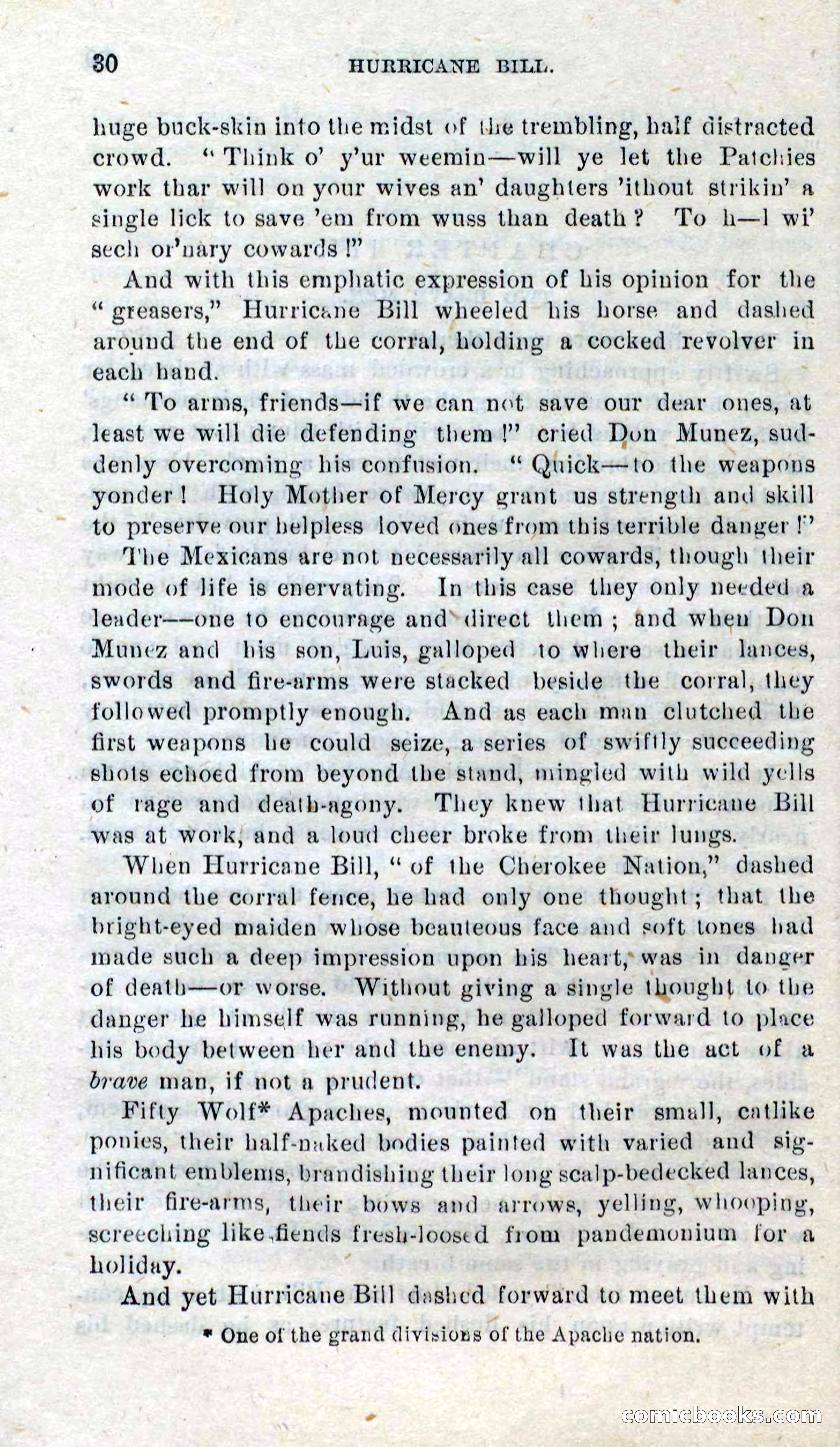 Beadle's Dime Novels No. 316: Hurricane Bill — page 26 of 100