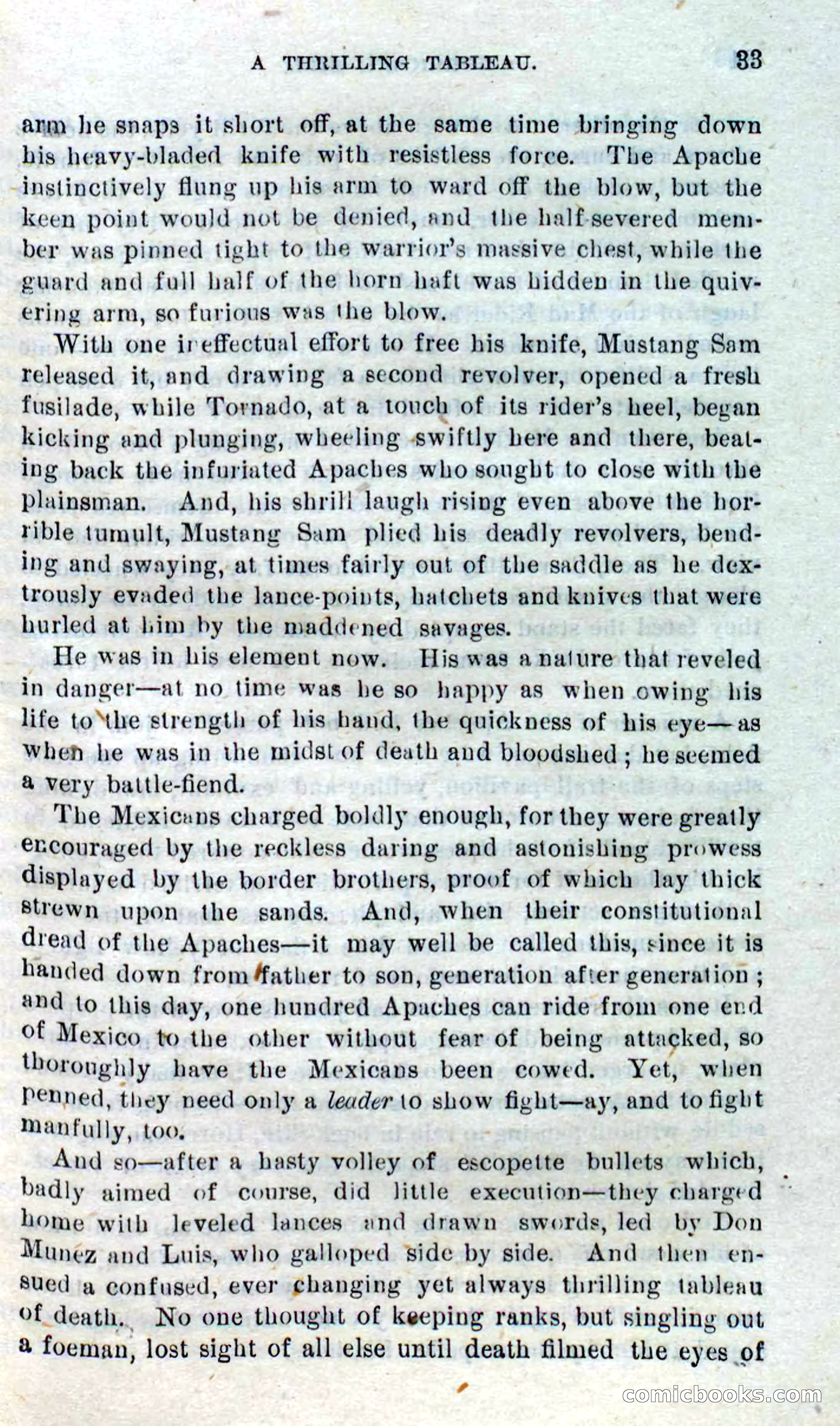 Beadle's Dime Novels No. 316: Hurricane Bill — page 29 of 100