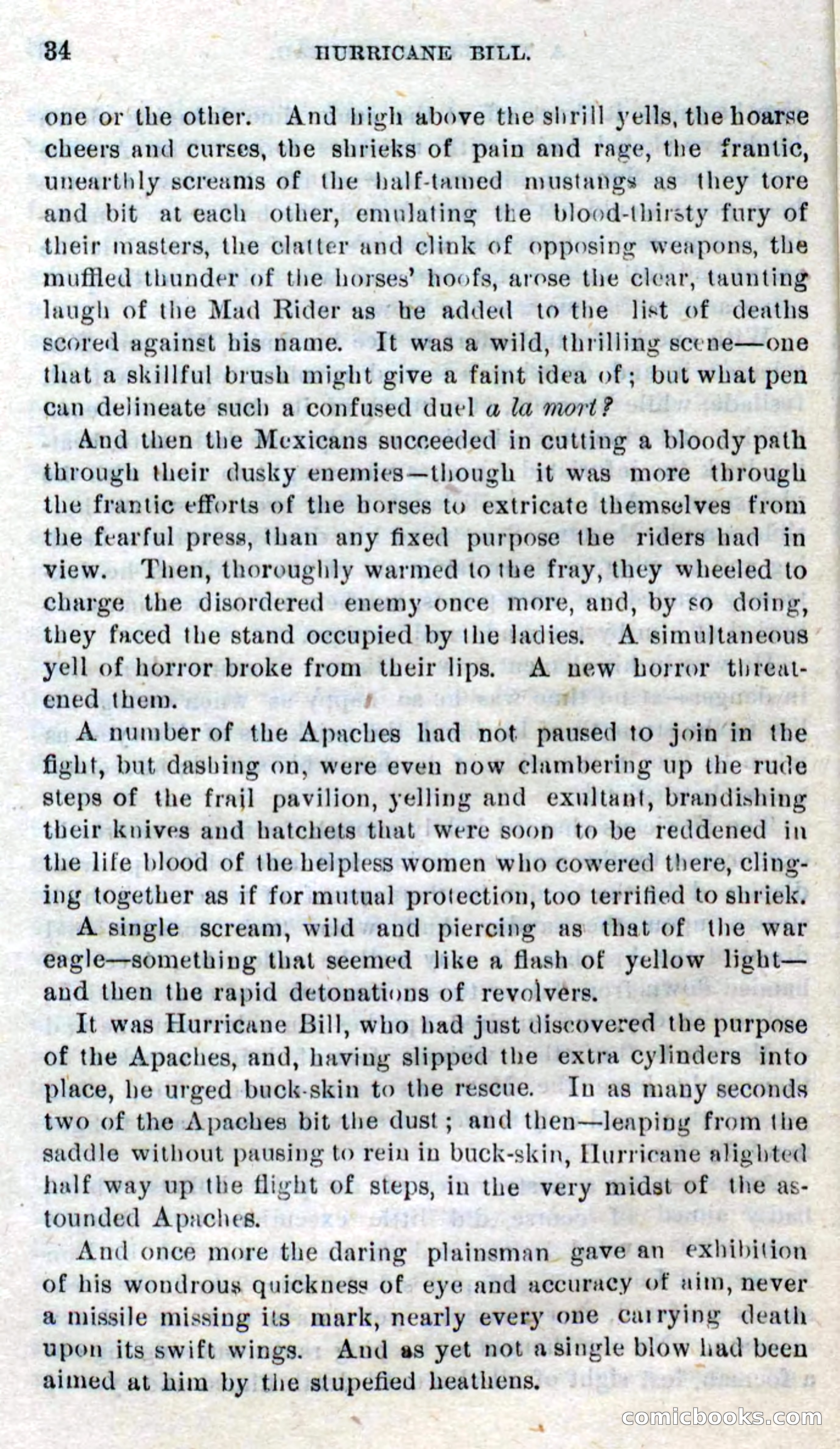 Beadle's Dime Novels No. 316: Hurricane Bill — page 30 of 100