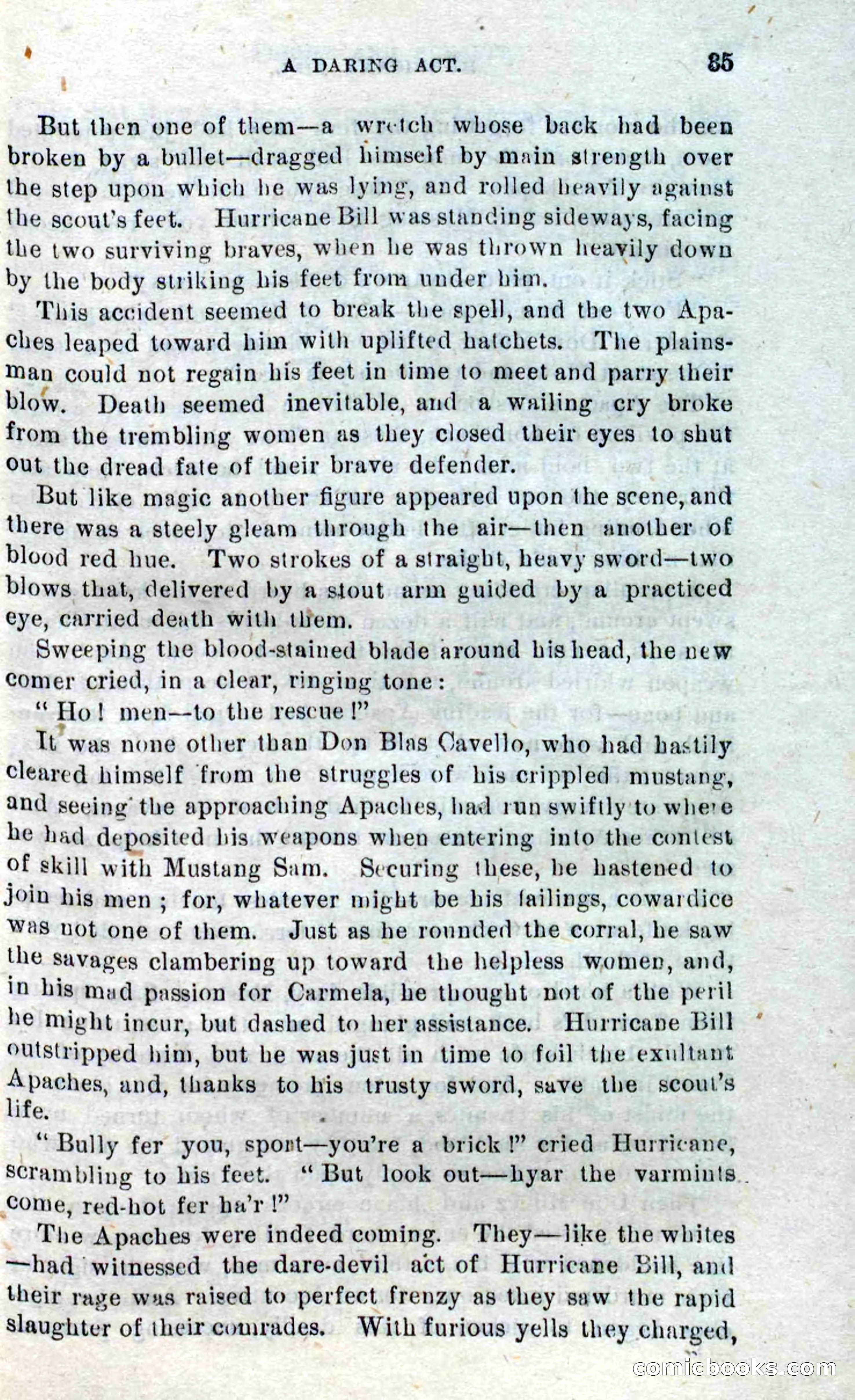 Beadle's Dime Novels No. 316: Hurricane Bill — page 31 of 100