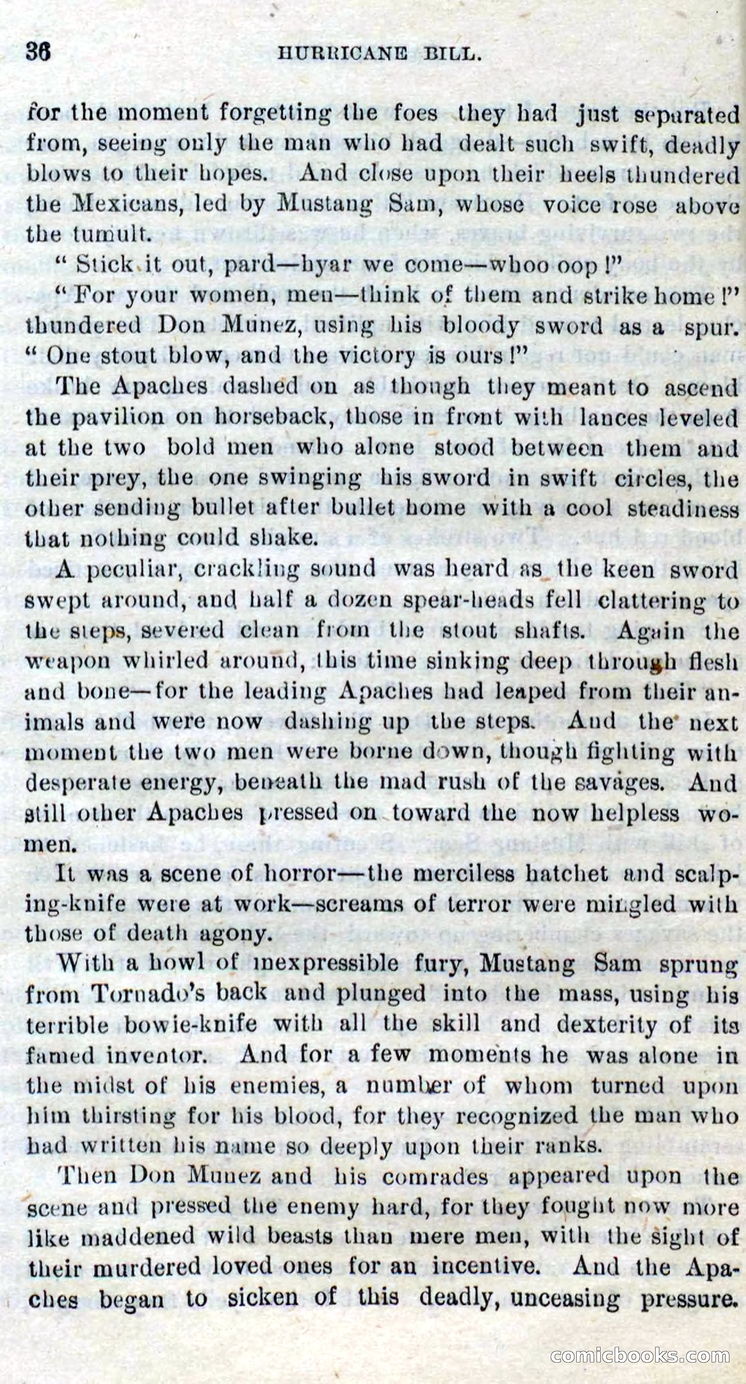 Beadle's Dime Novels No. 316: Hurricane Bill — page 32 of 100