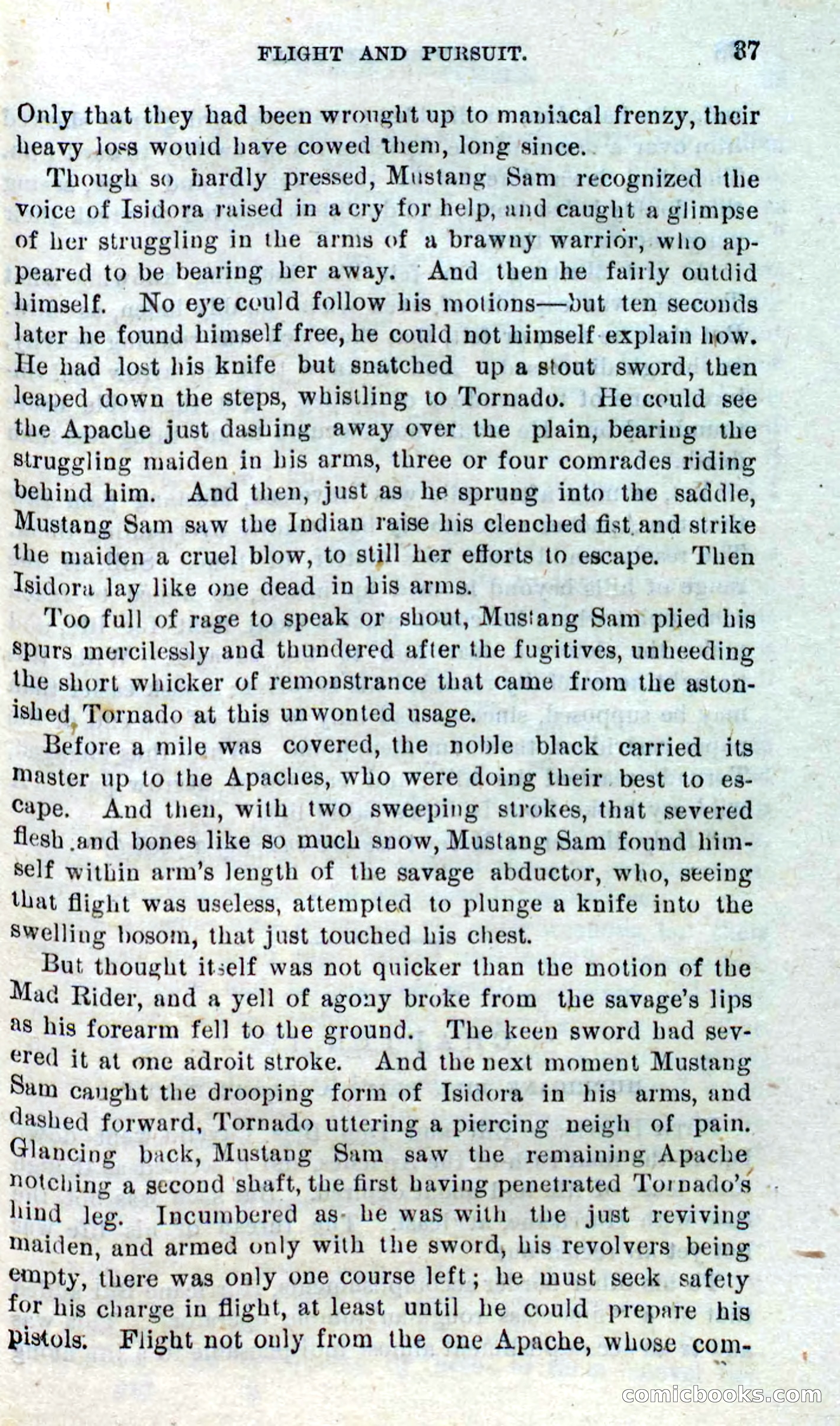 Beadle's Dime Novels No. 316: Hurricane Bill — page 33 of 100