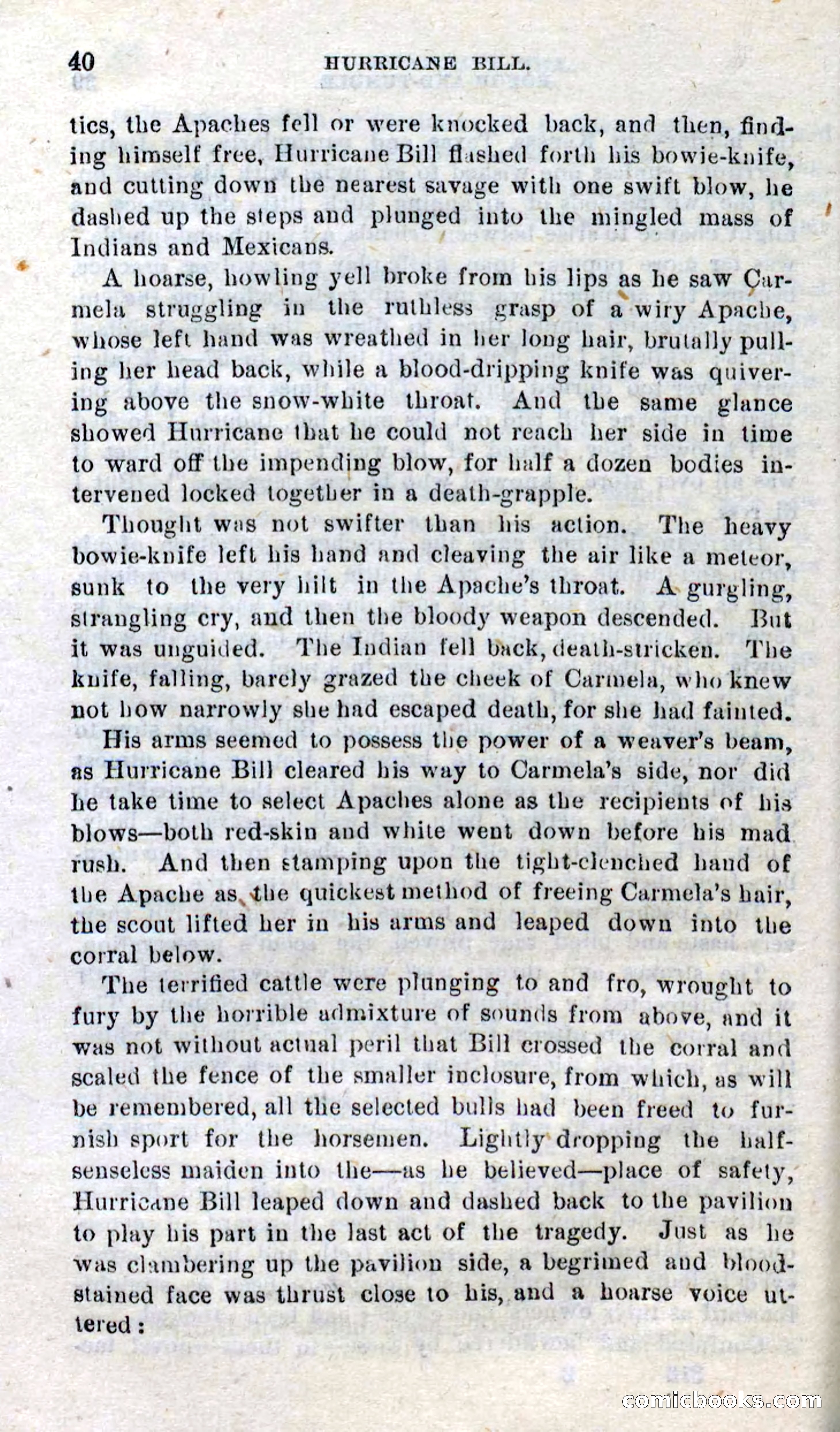 Beadle's Dime Novels No. 316: Hurricane Bill — page 36 of 100