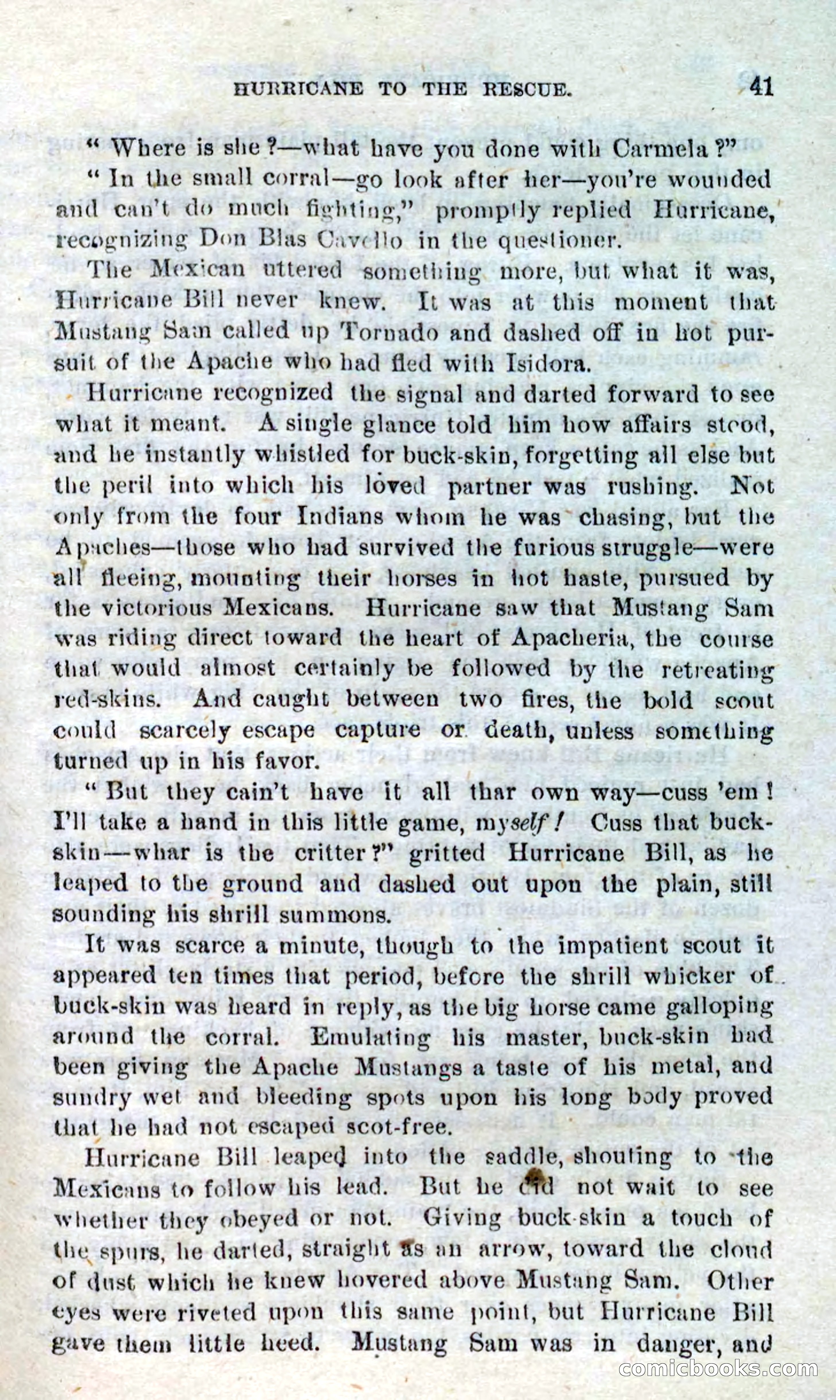 Beadle's Dime Novels No. 316: Hurricane Bill — page 37 of 100