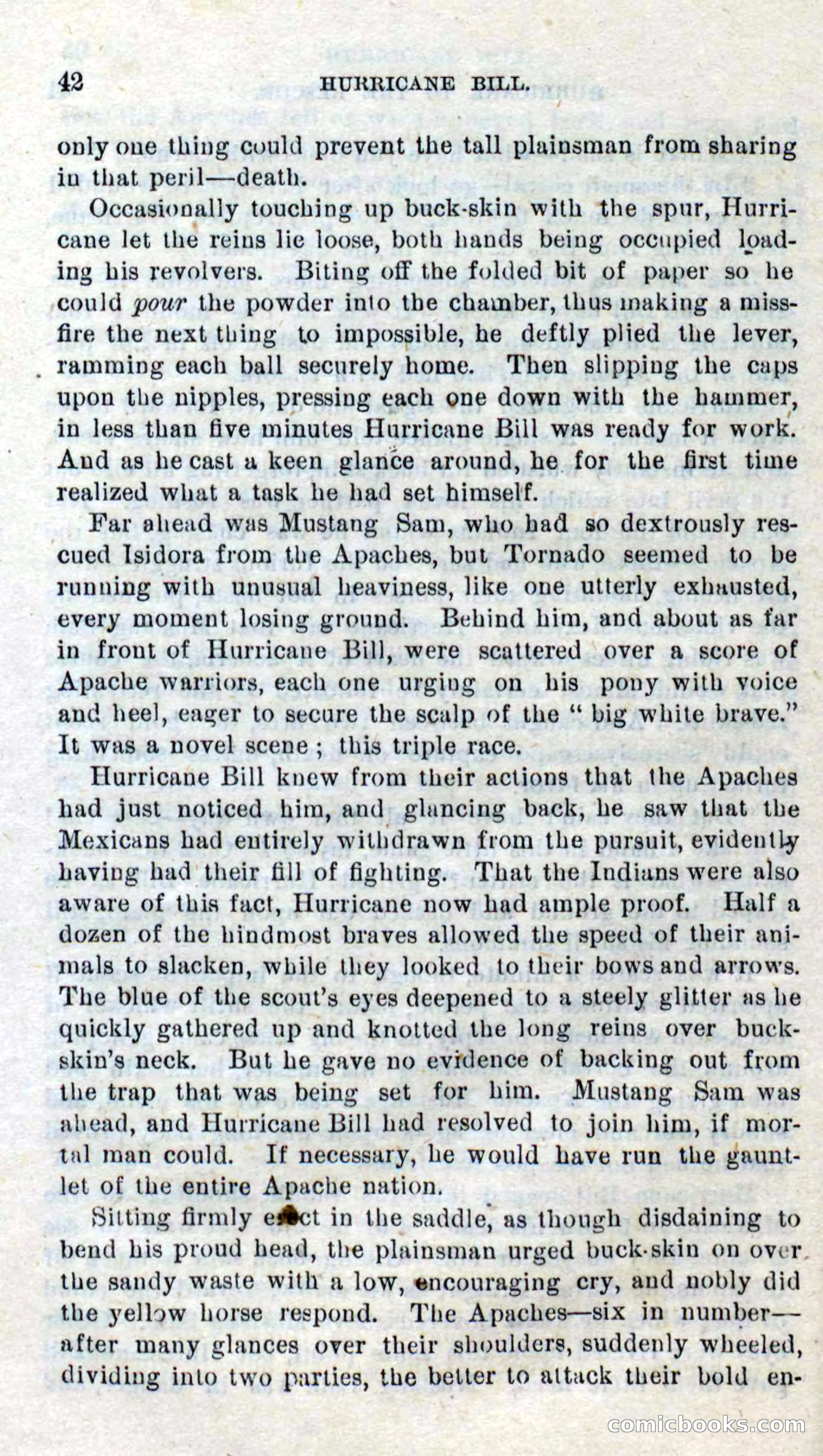 Beadle's Dime Novels No. 316: Hurricane Bill — page 38 of 100
