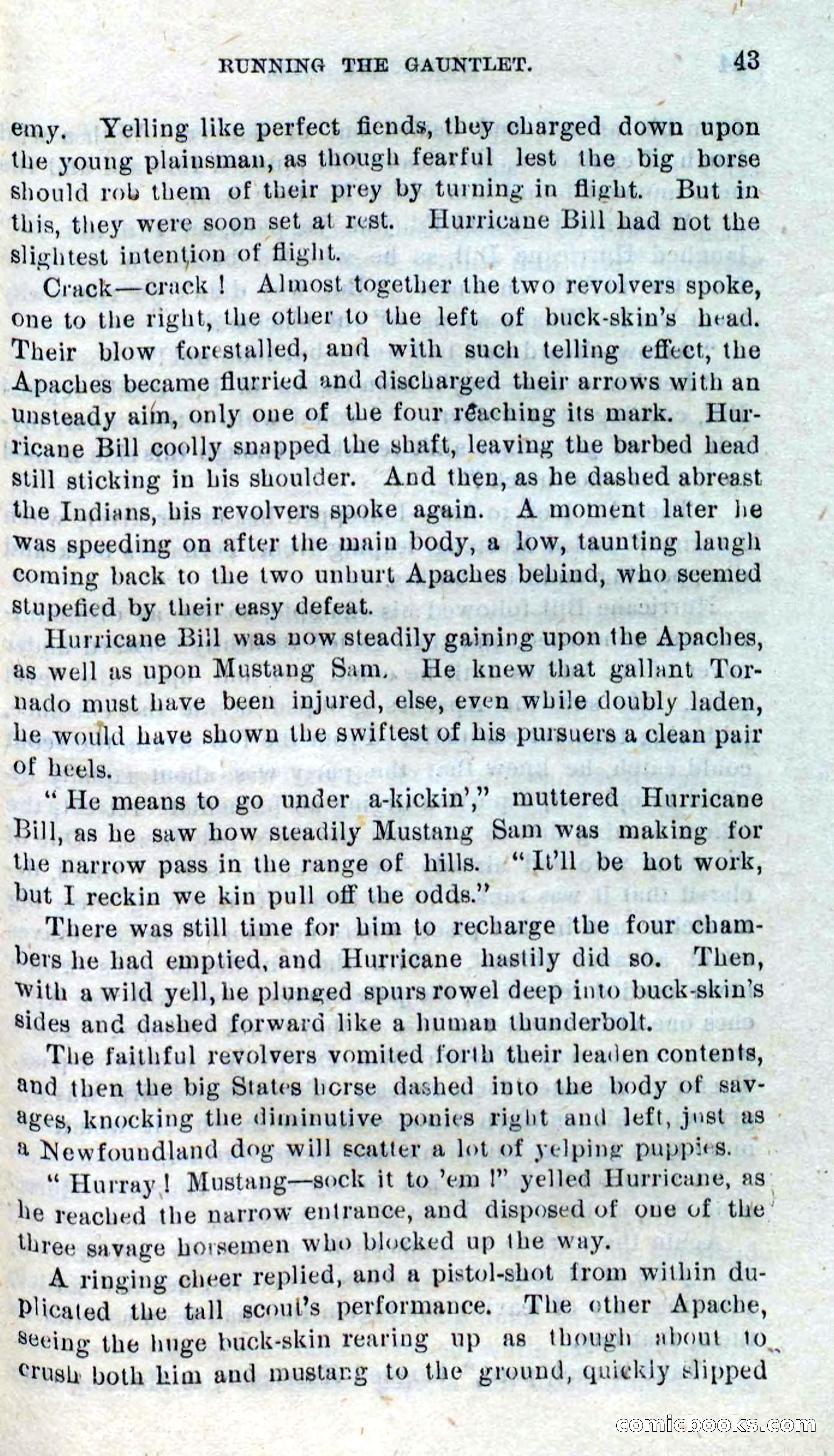 Beadle's Dime Novels No. 316: Hurricane Bill — page 39 of 100