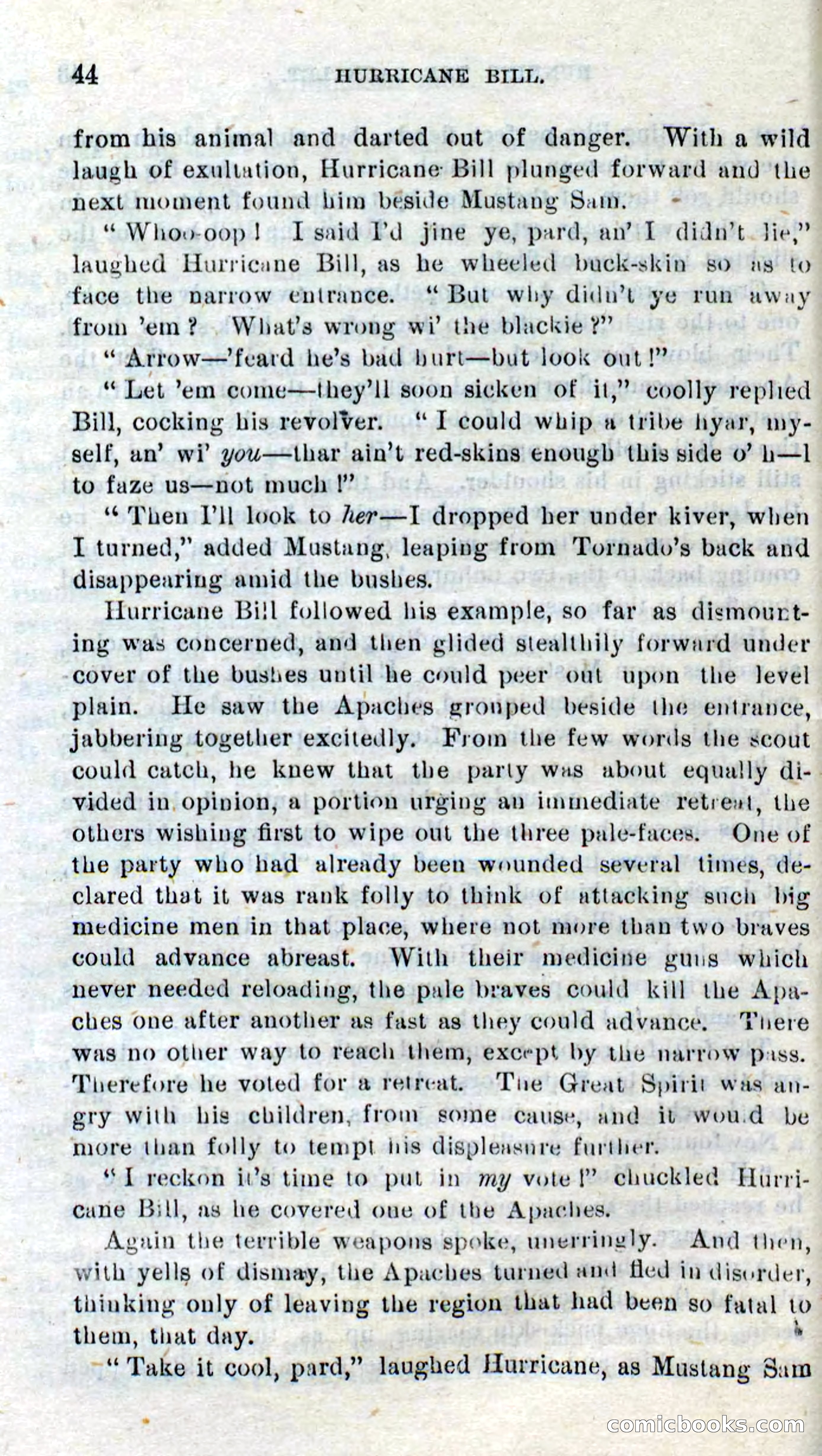Beadle's Dime Novels No. 316: Hurricane Bill — page 40 of 100