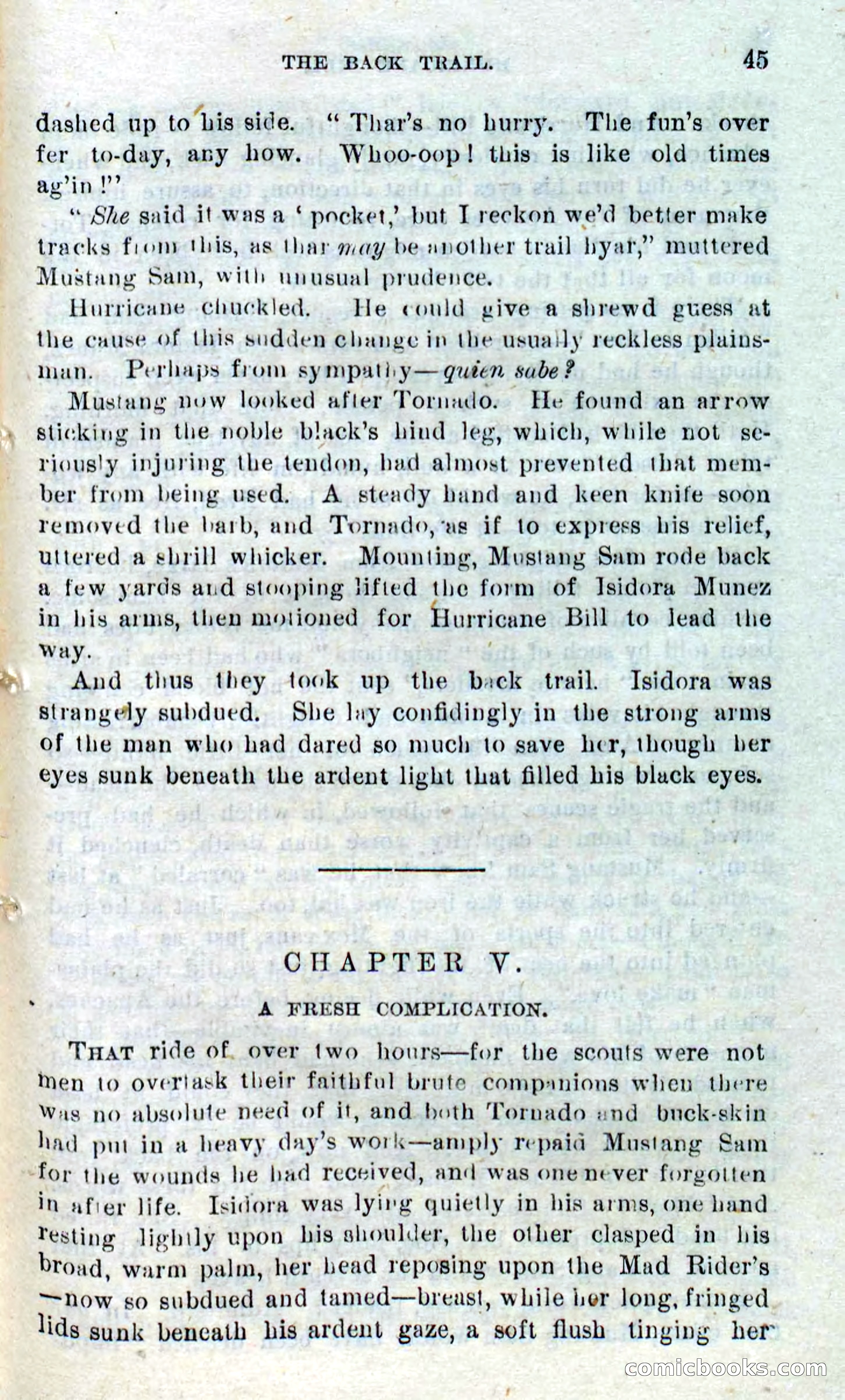 Beadle's Dime Novels No. 316: Hurricane Bill — page 41 of 100