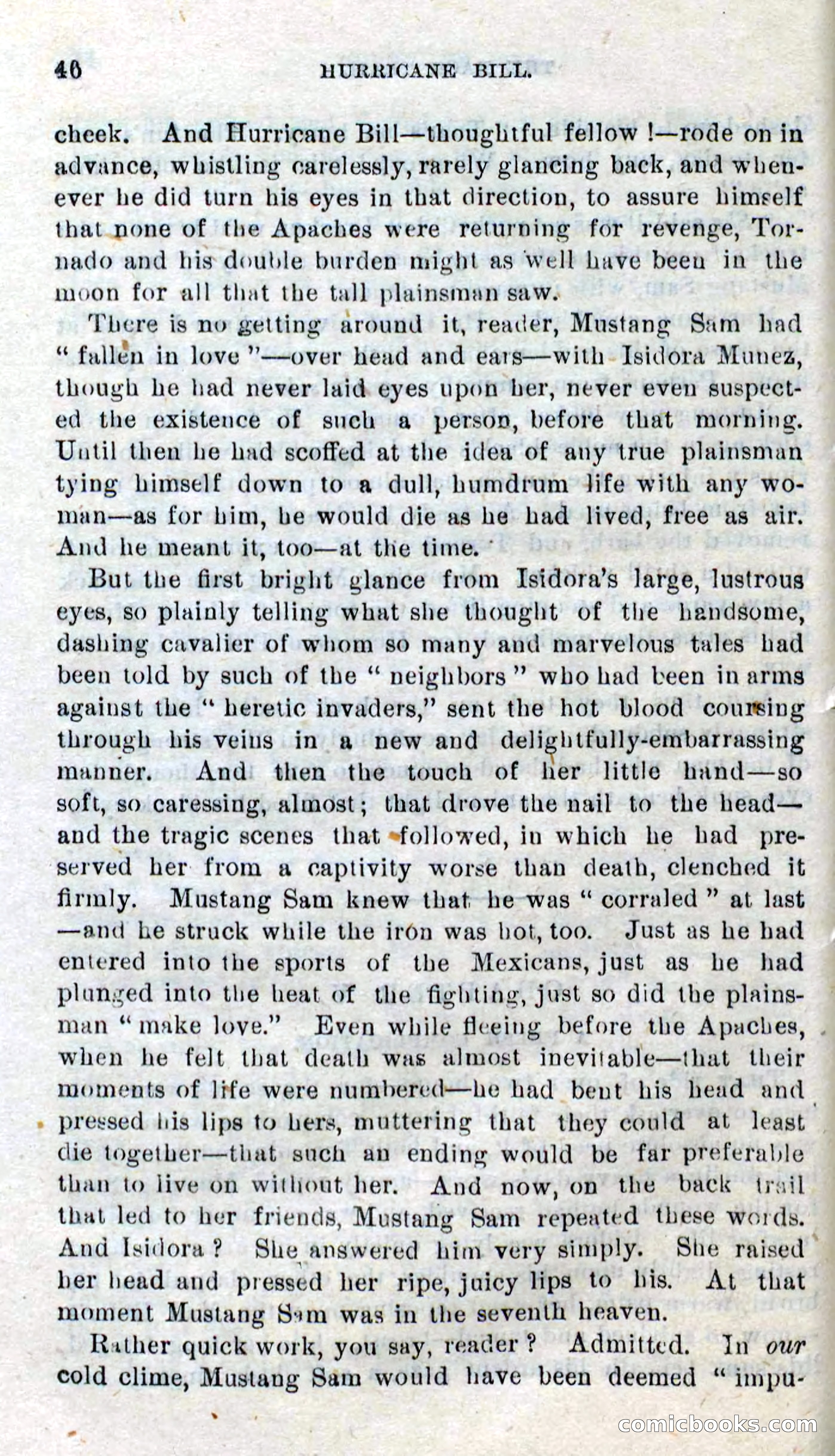 Beadle's Dime Novels No. 316: Hurricane Bill — page 42 of 100