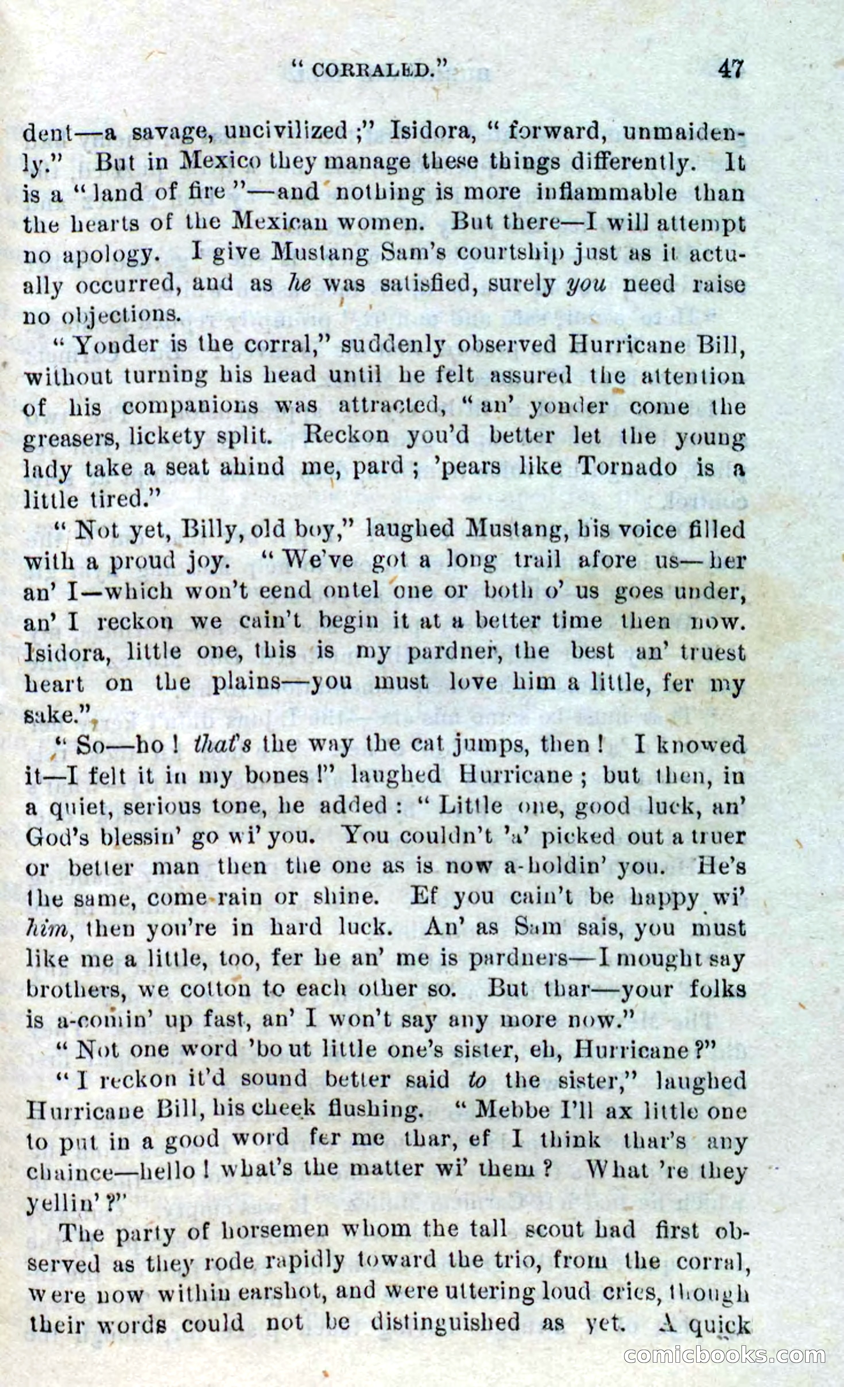 Beadle's Dime Novels No. 316: Hurricane Bill — page 43 of 100