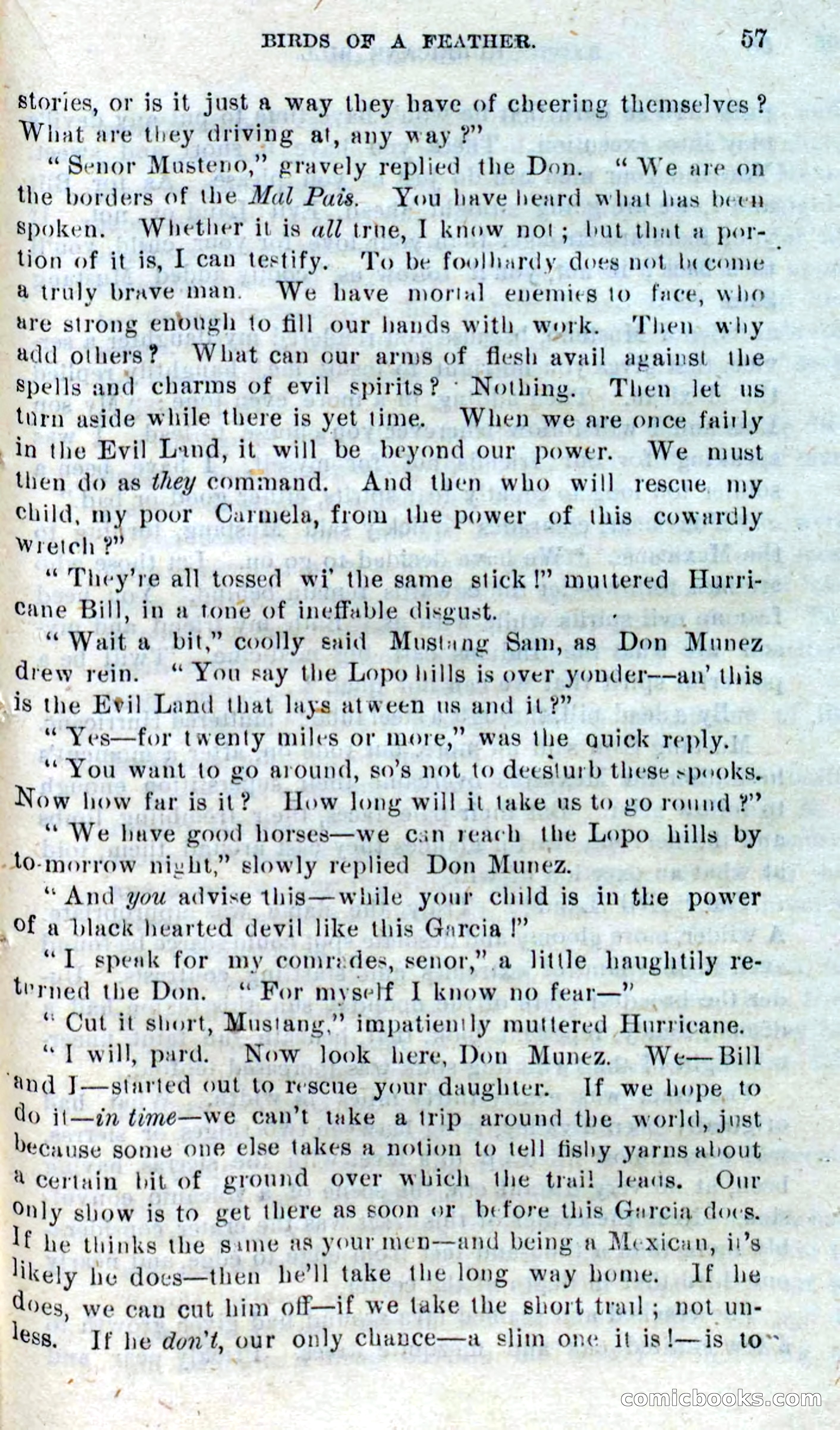 Beadle's Dime Novels No. 316: Hurricane Bill — page 53 of 100