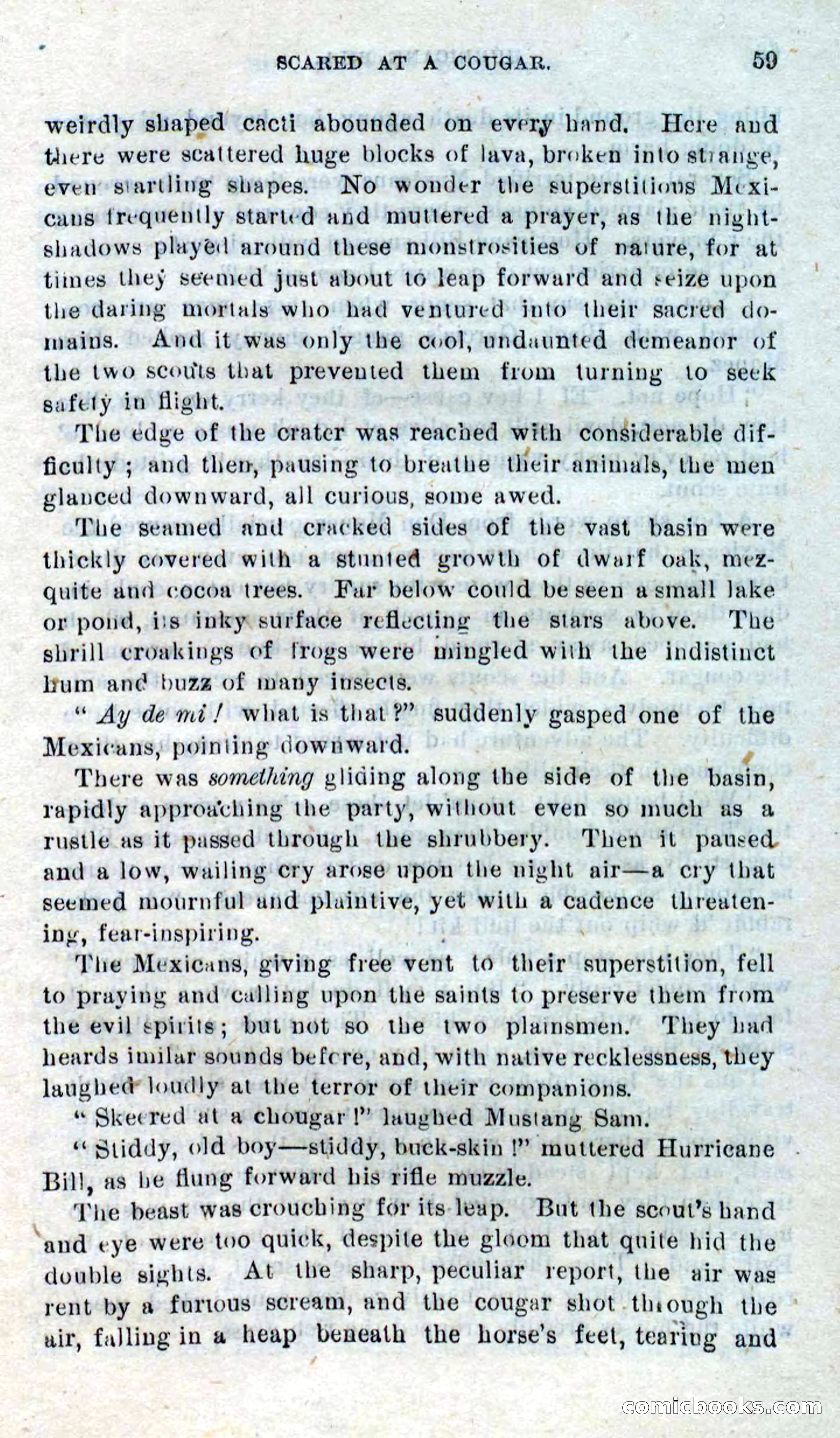 Beadle's Dime Novels No. 316: Hurricane Bill — page 55 of 100