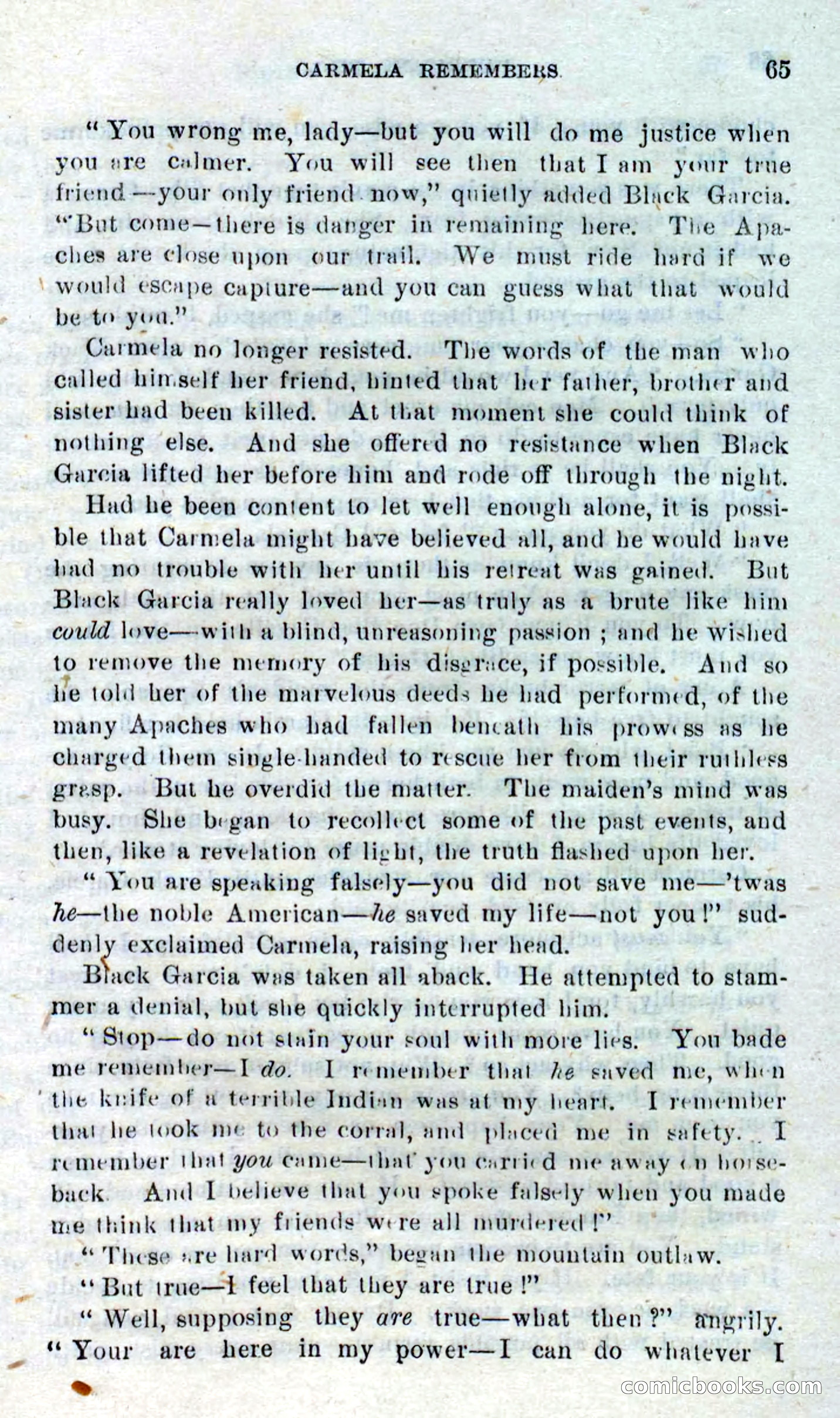 Beadle's Dime Novels No. 316: Hurricane Bill — page 61 of 100