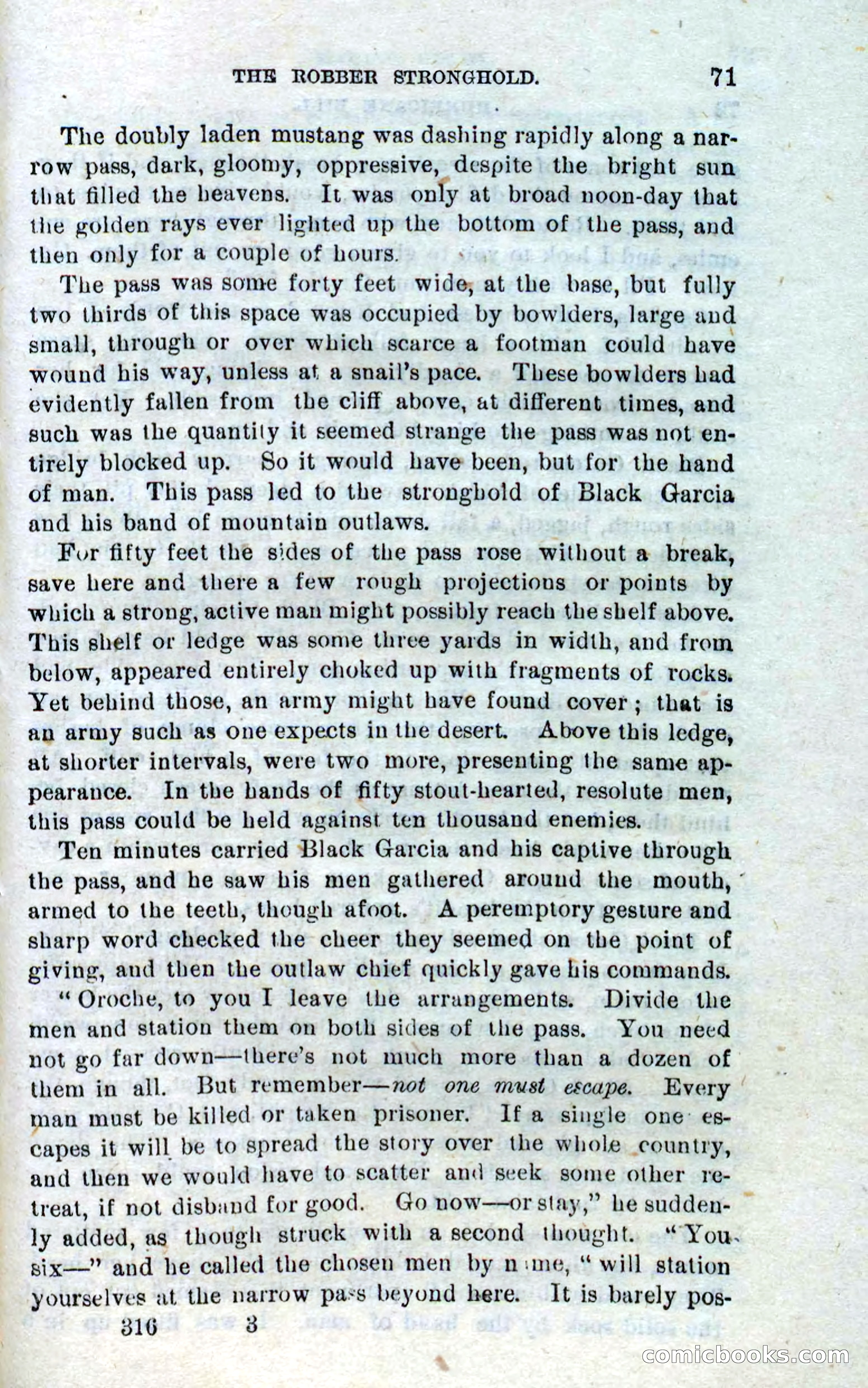 Beadle's Dime Novels No. 316: Hurricane Bill — page 67 of 100