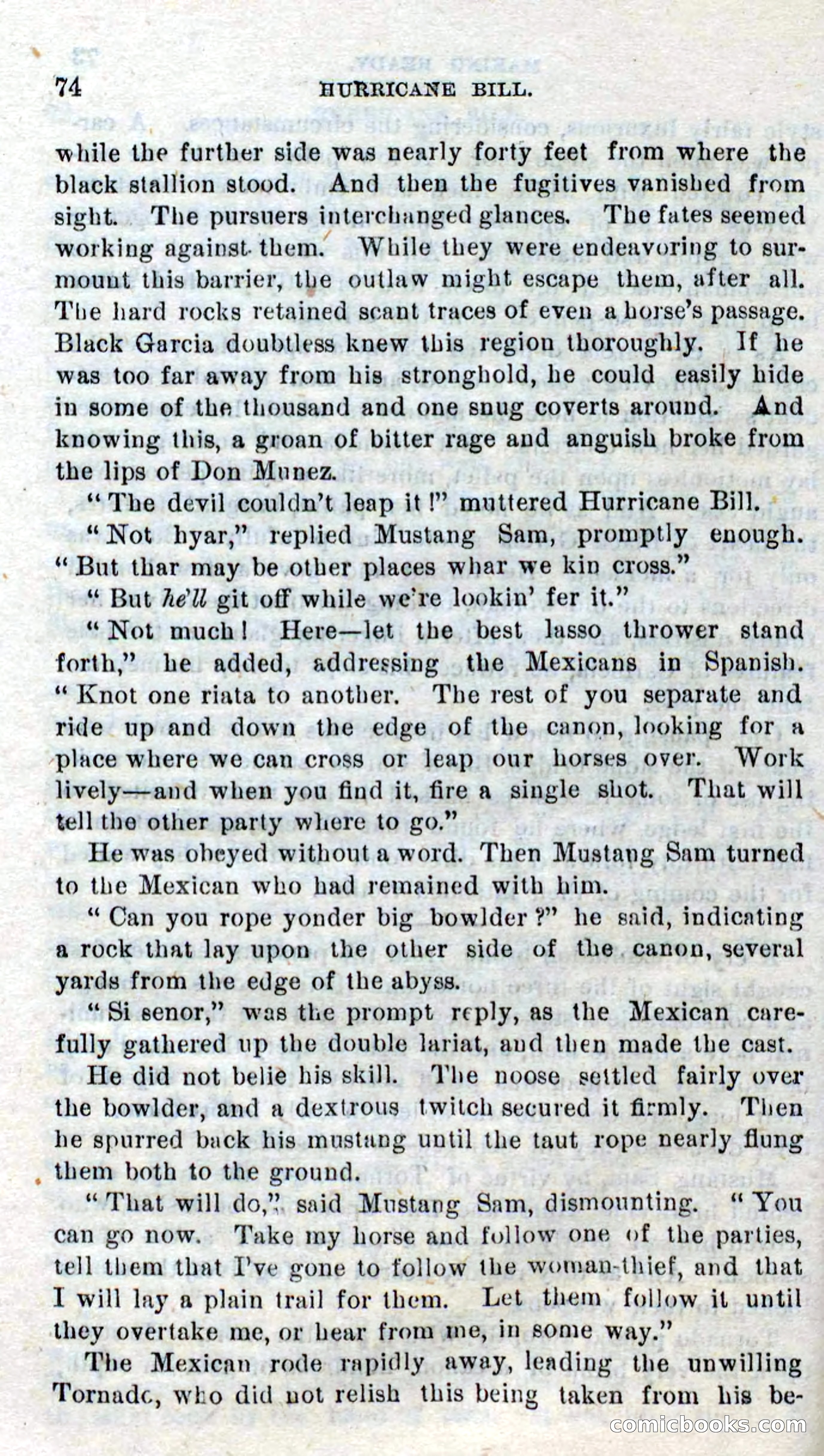 Beadle's Dime Novels No. 316: Hurricane Bill — page 70 of 100