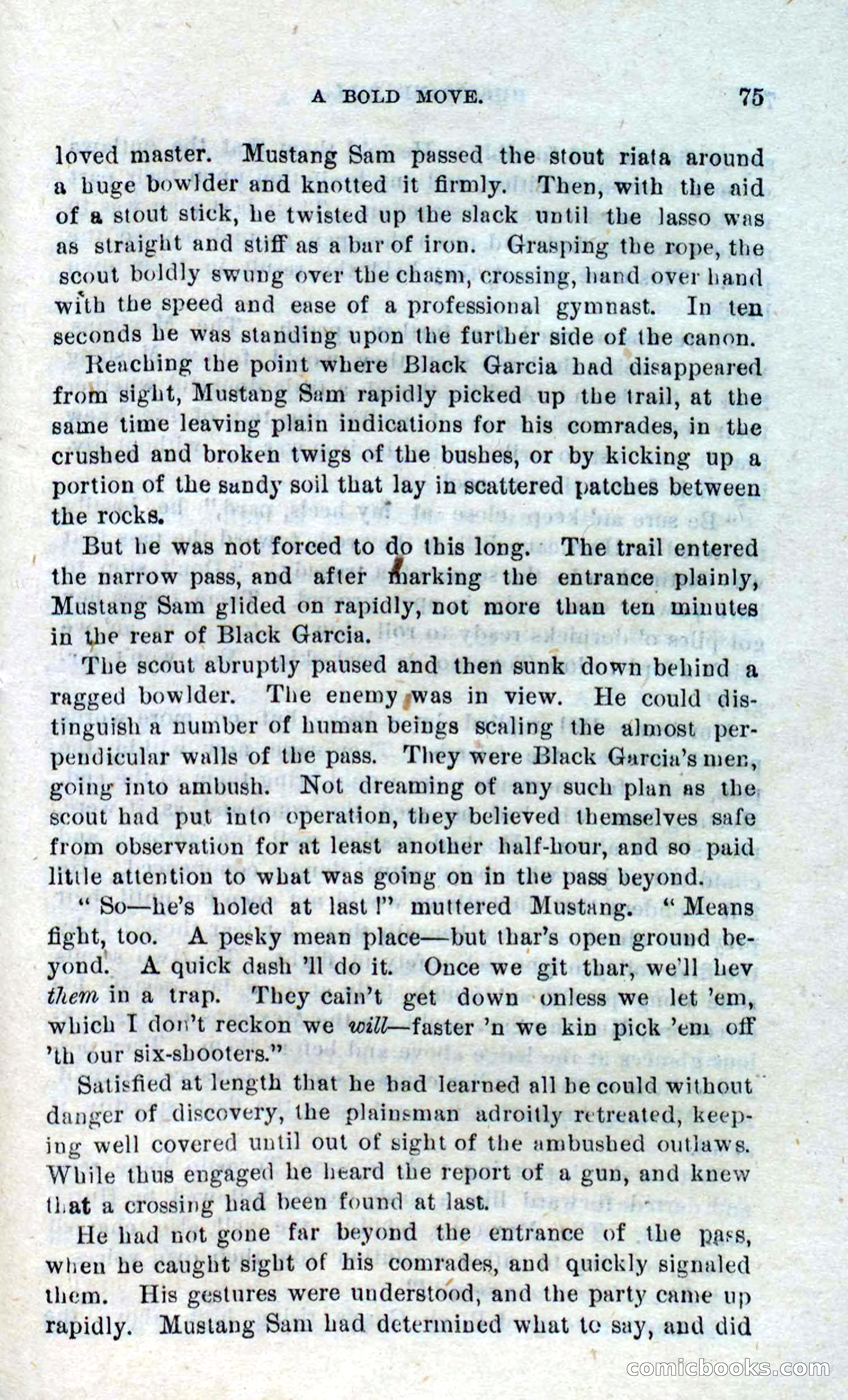 Beadle's Dime Novels No. 316: Hurricane Bill — page 71 of 100