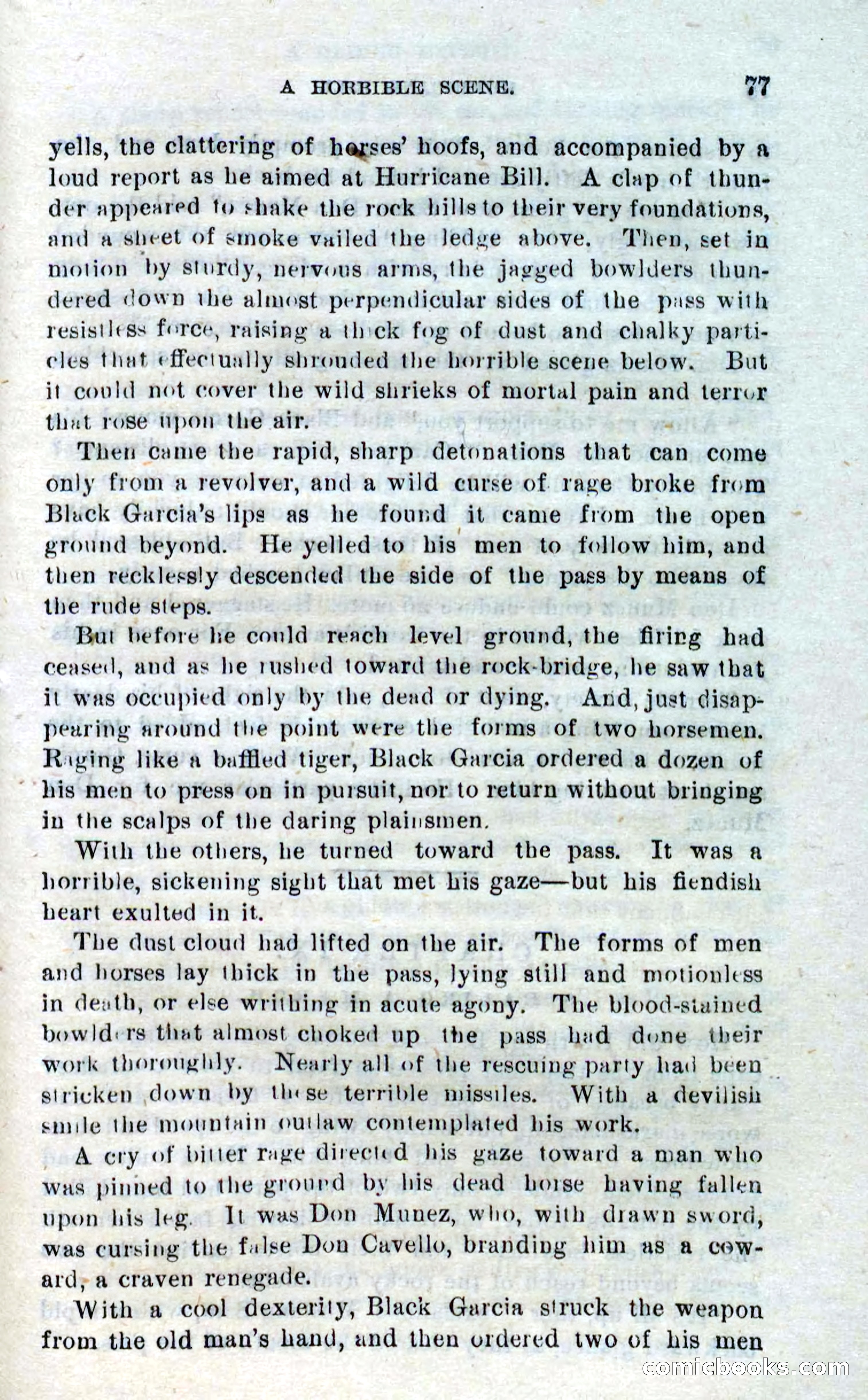 Beadle's Dime Novels No. 316: Hurricane Bill — page 73 of 100