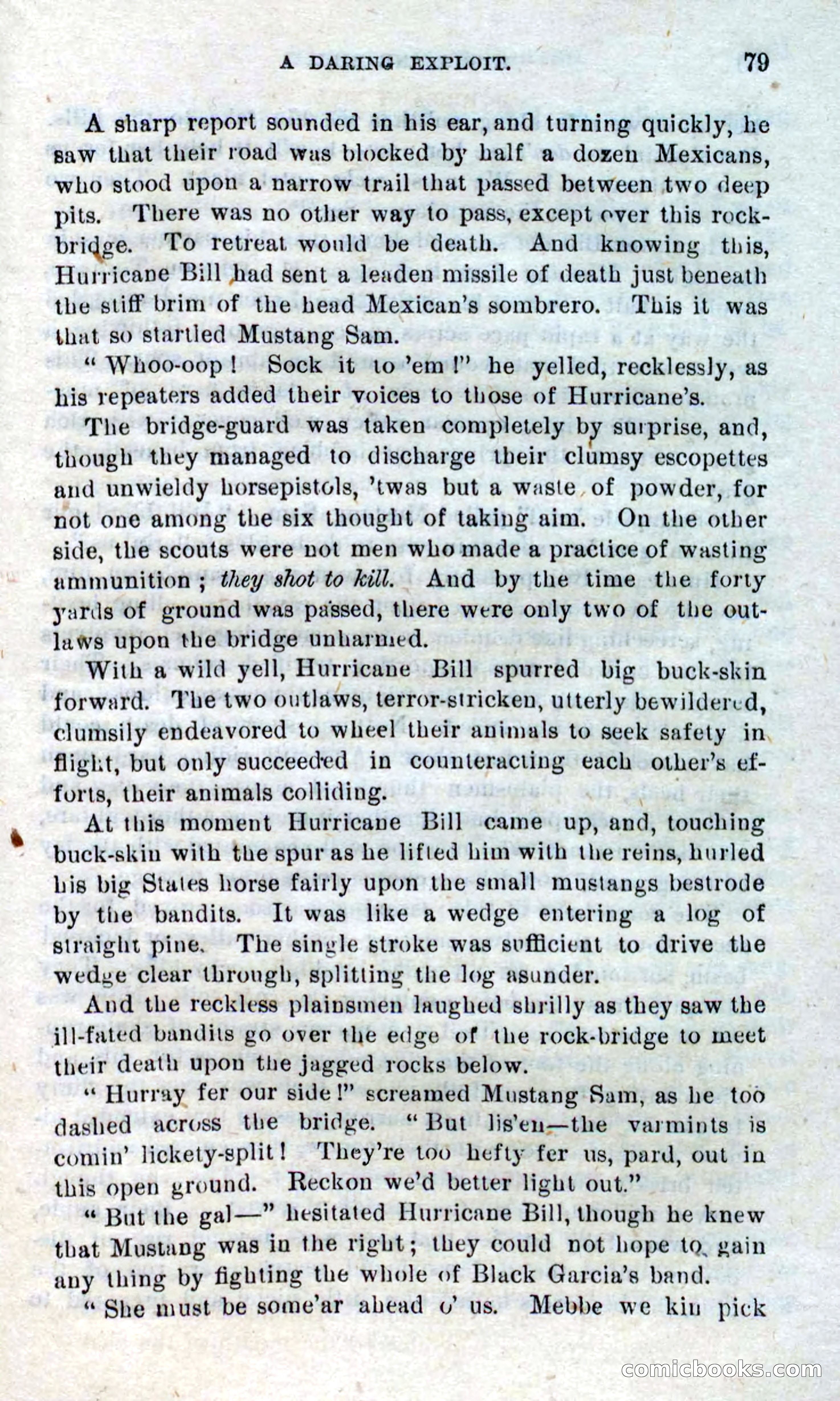 Beadle's Dime Novels No. 316: Hurricane Bill — page 75 of 100