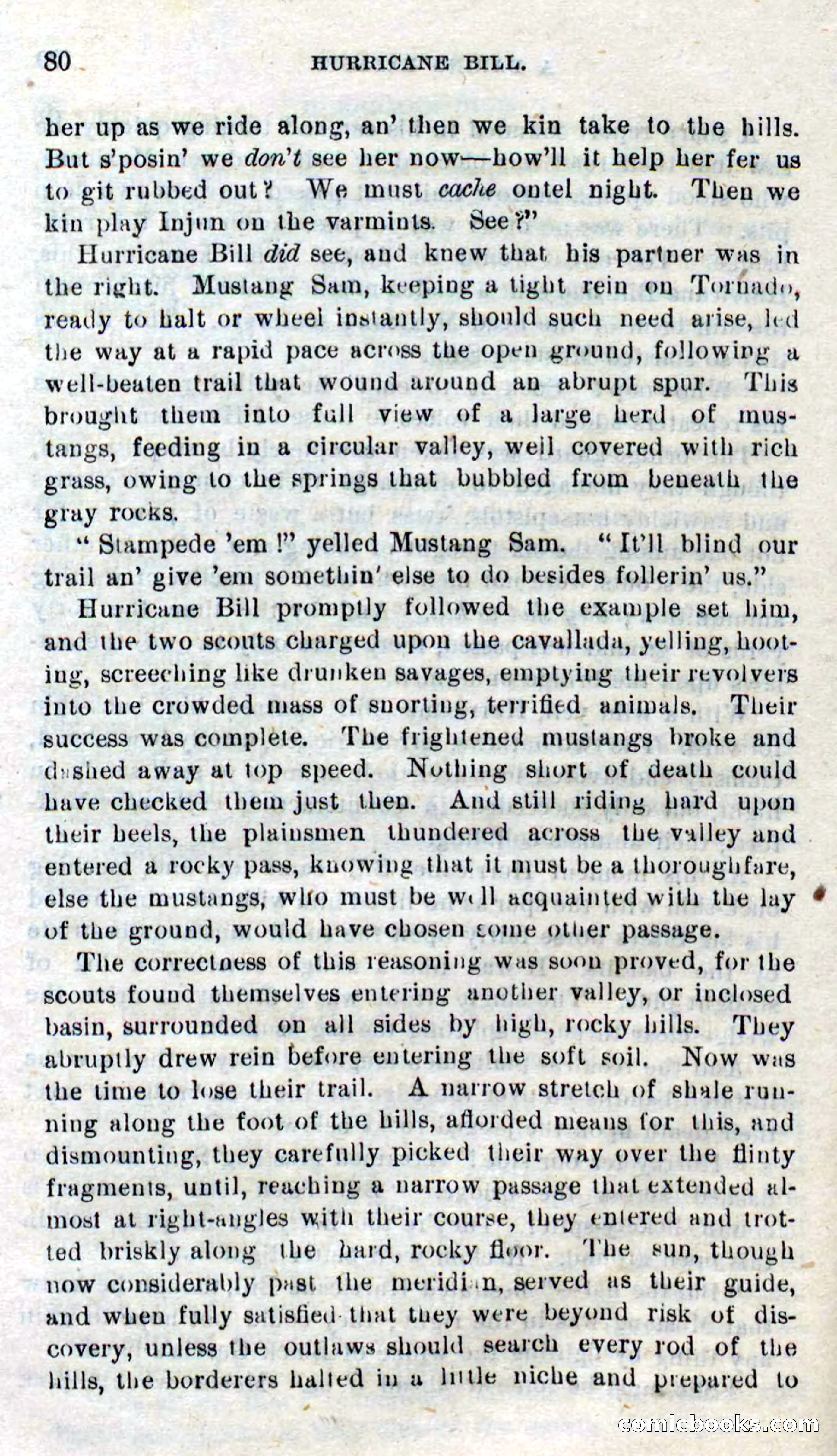 Beadle's Dime Novels No. 316: Hurricane Bill — page 76 of 100