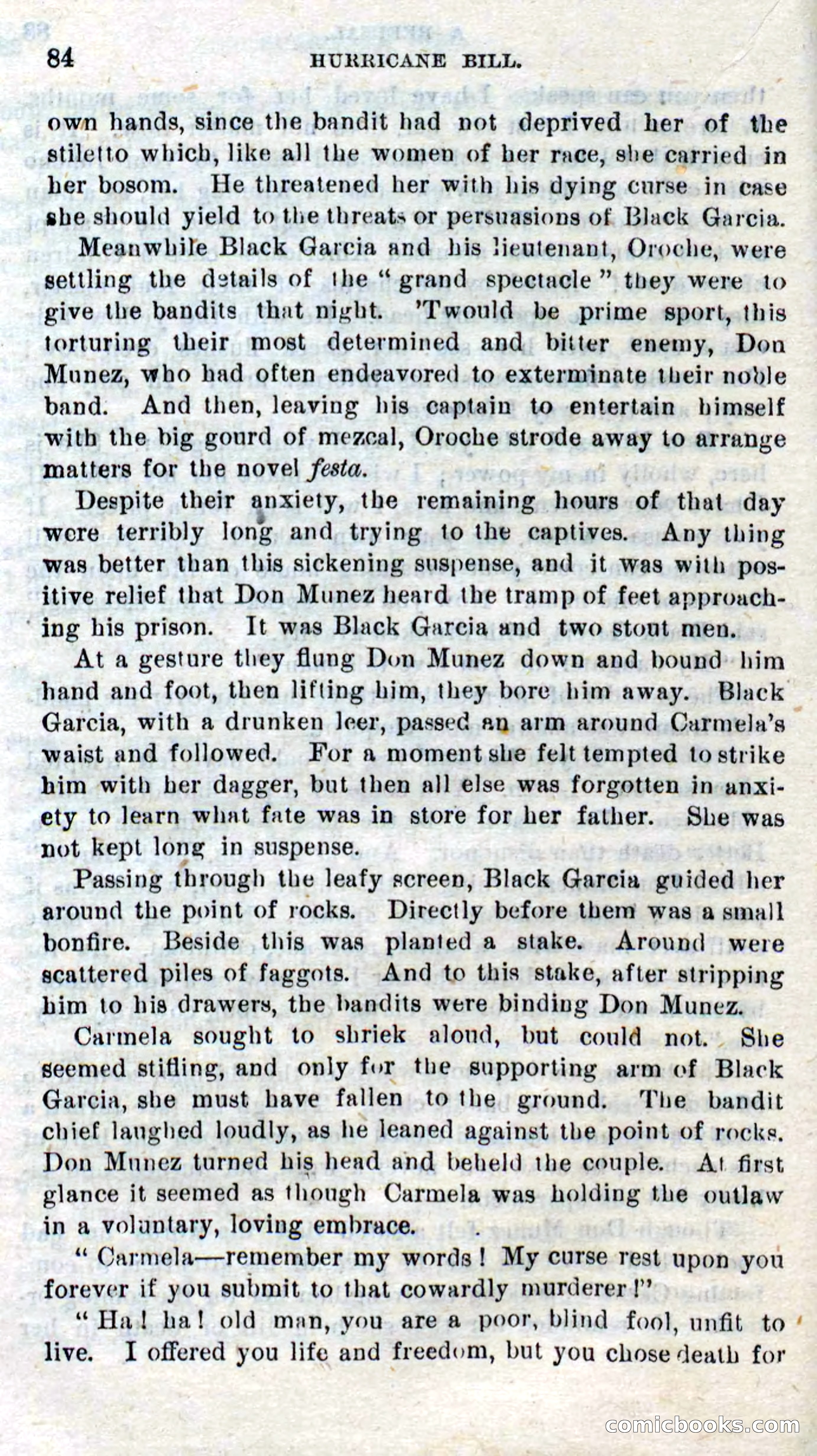 Beadle's Dime Novels No. 316: Hurricane Bill — page 80 of 100