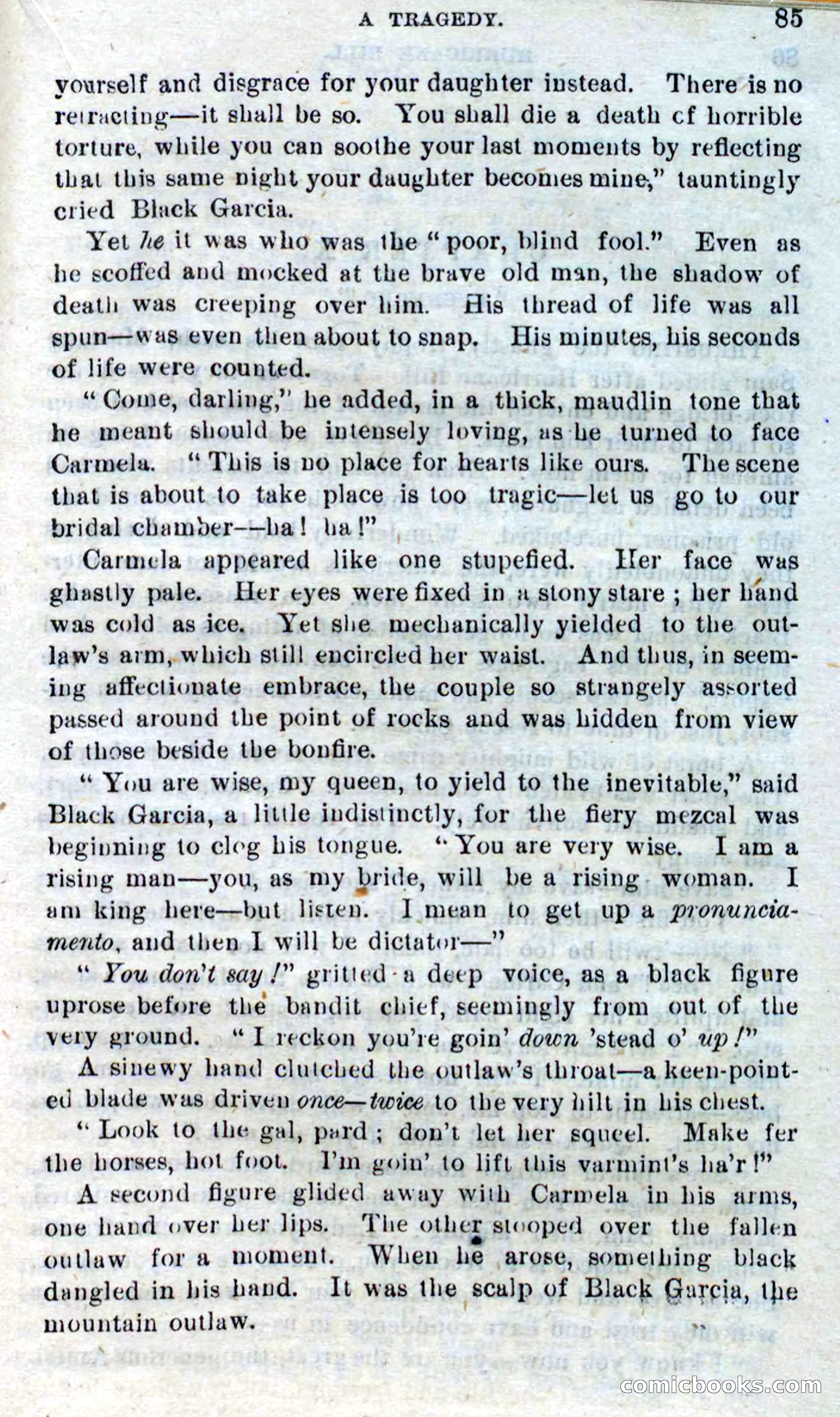 Beadle's Dime Novels No. 316: Hurricane Bill — page 81 of 100