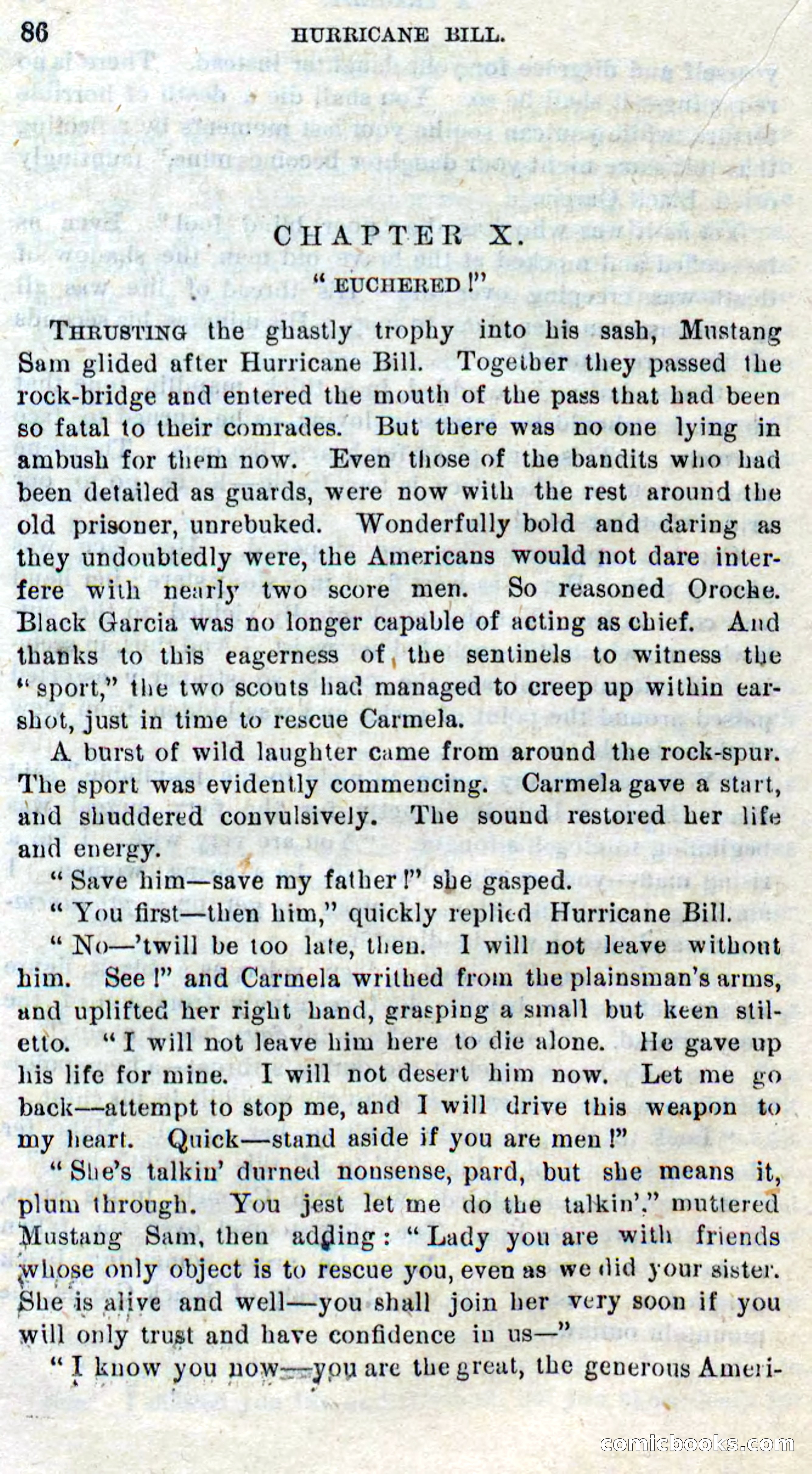 Beadle's Dime Novels No. 316: Hurricane Bill — page 82 of 100