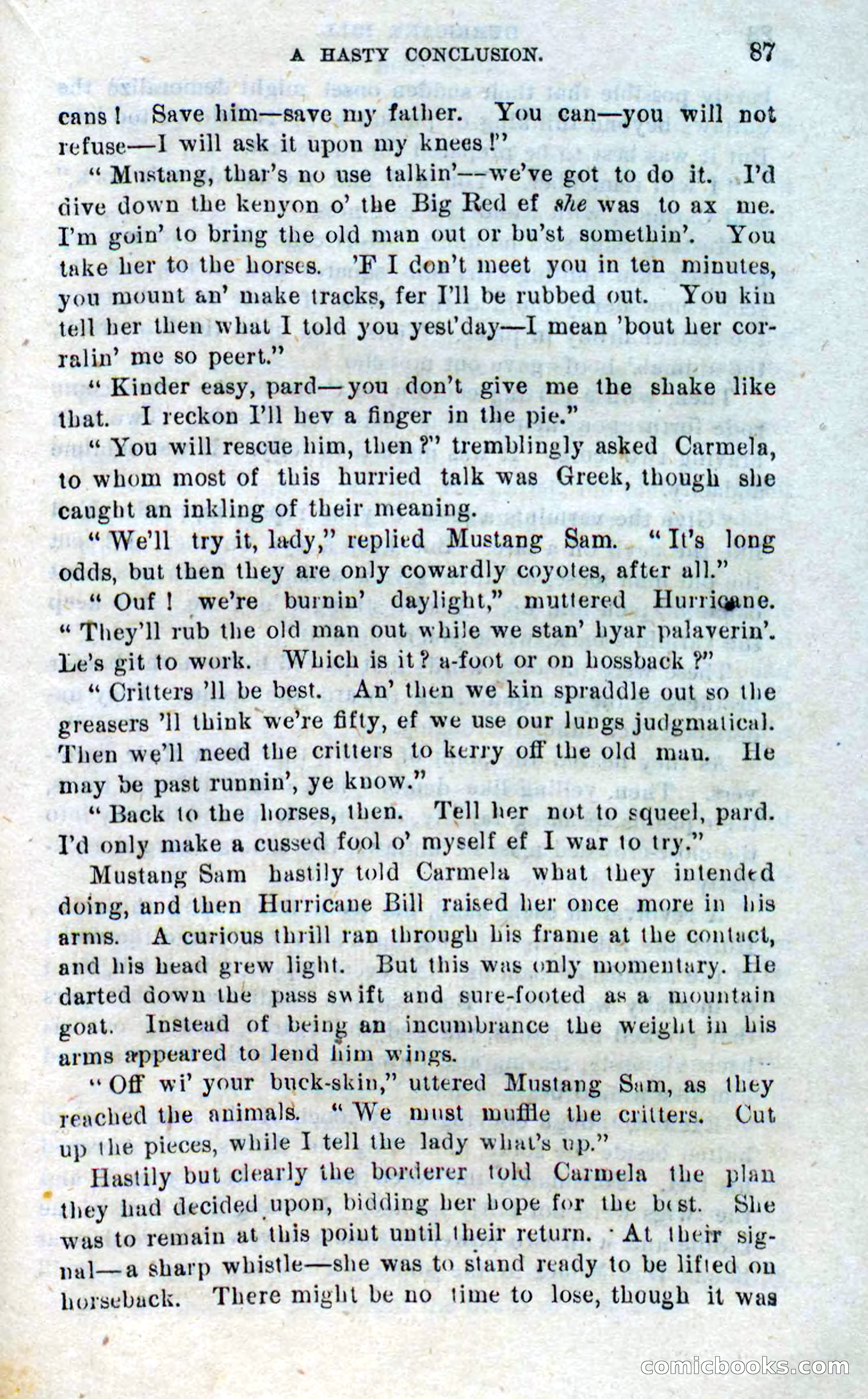 Beadle's Dime Novels No. 316: Hurricane Bill — page 83 of 100