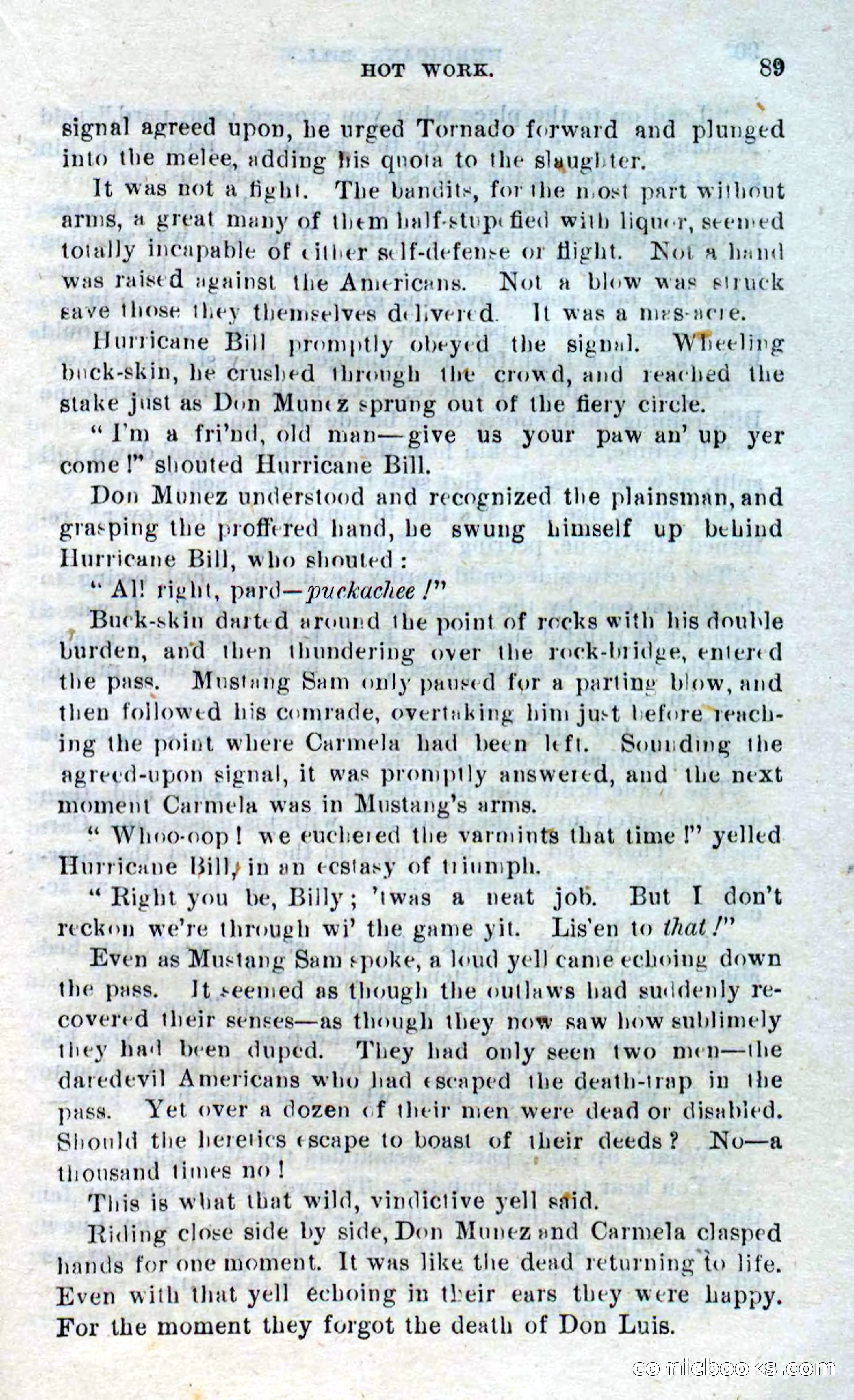 Beadle's Dime Novels No. 316: Hurricane Bill — page 85 of 100