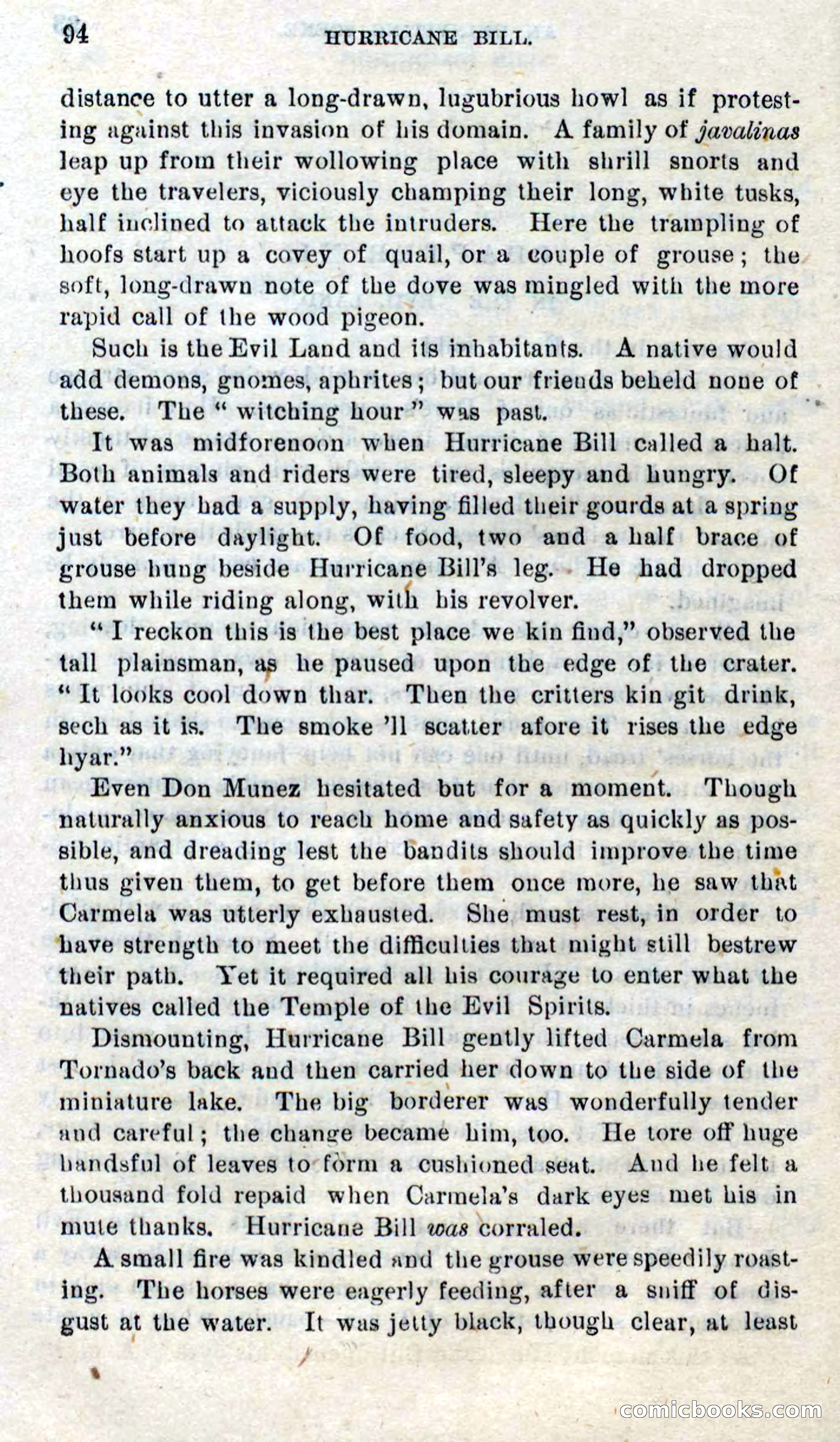 Beadle's Dime Novels No. 316: Hurricane Bill — page 90 of 100