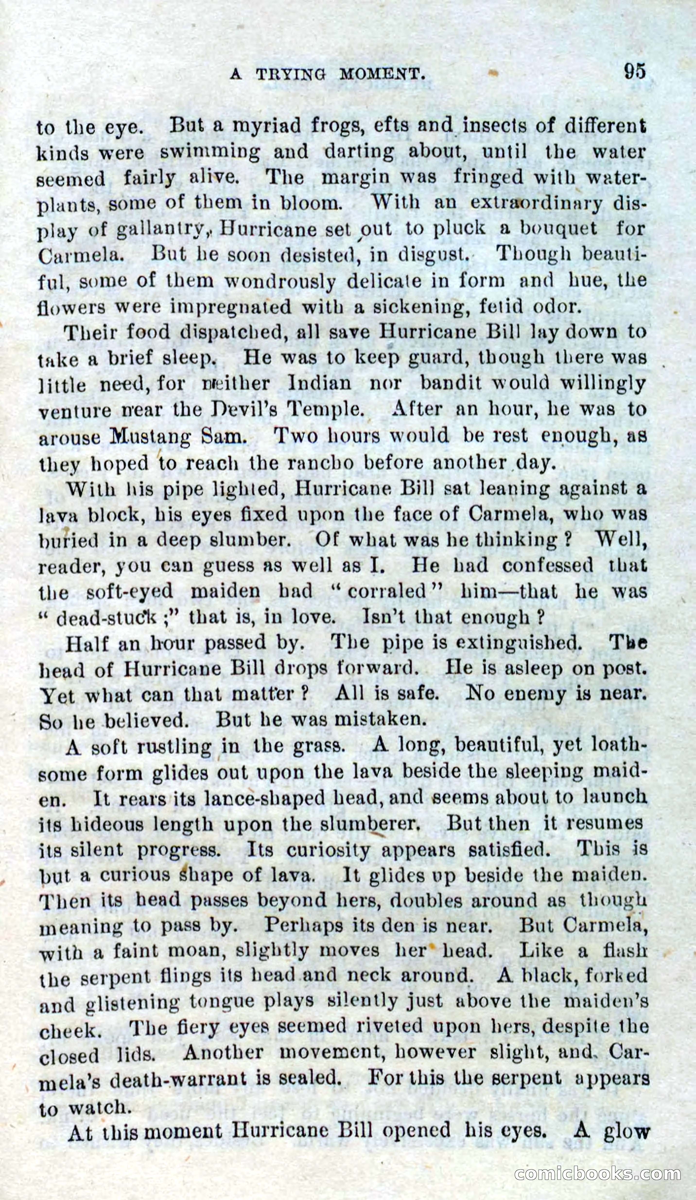 Beadle's Dime Novels No. 316: Hurricane Bill — page 91 of 100