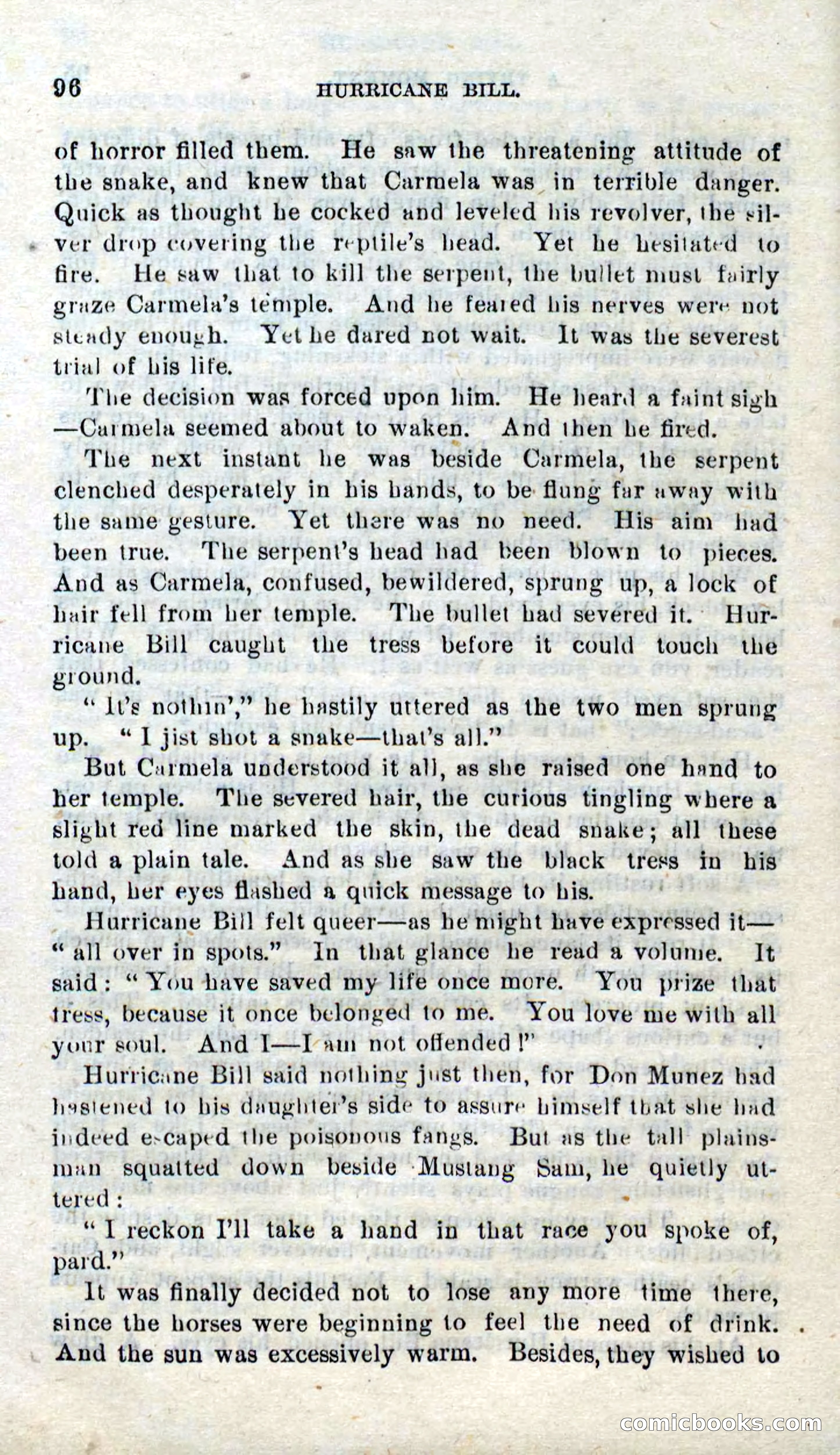 Beadle's Dime Novels No. 316: Hurricane Bill — page 92 of 100