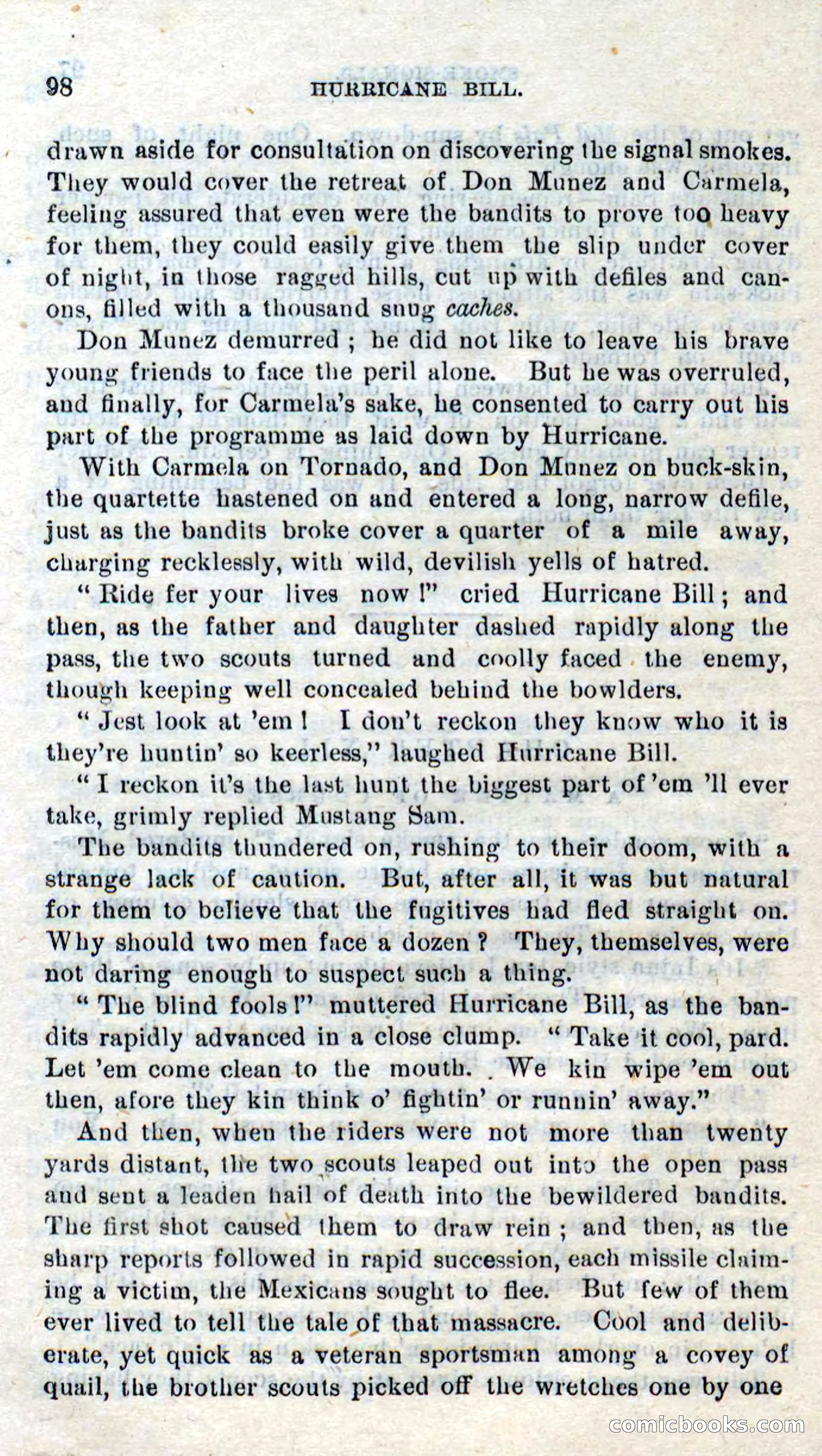 Beadle's Dime Novels No. 316: Hurricane Bill — page 94 of 100