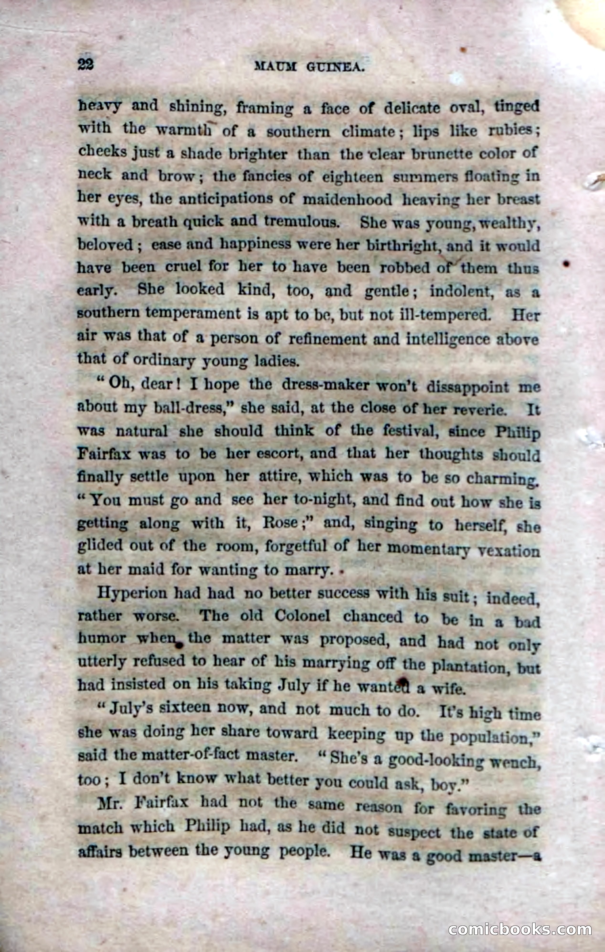 Beadle's Dime Novels No. 33: Maum Guinea and Her Plantation Children — page 28 of 228