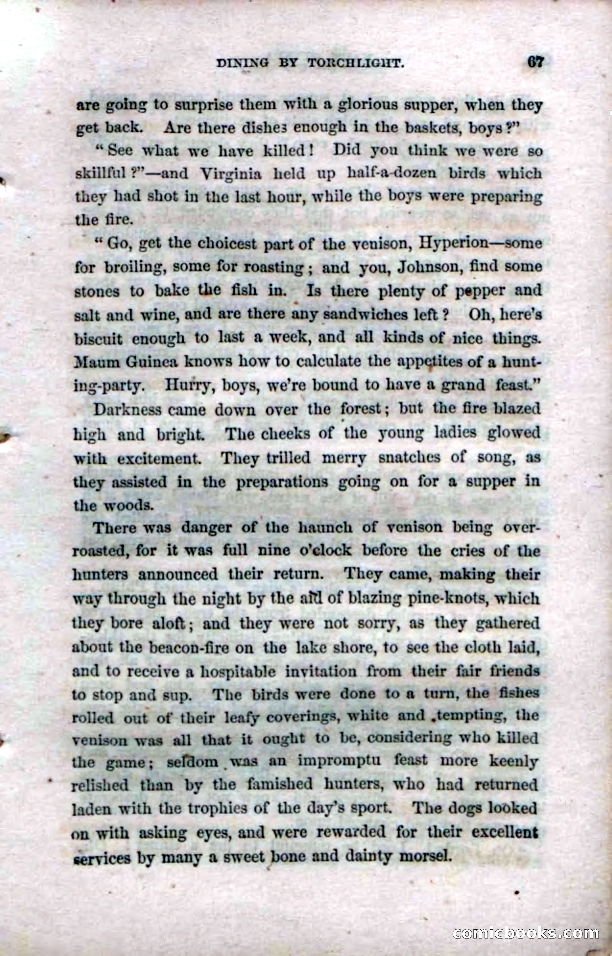 Beadle's Dime Novels No. 33: Maum Guinea and Her Plantation Children — page 73 of 228