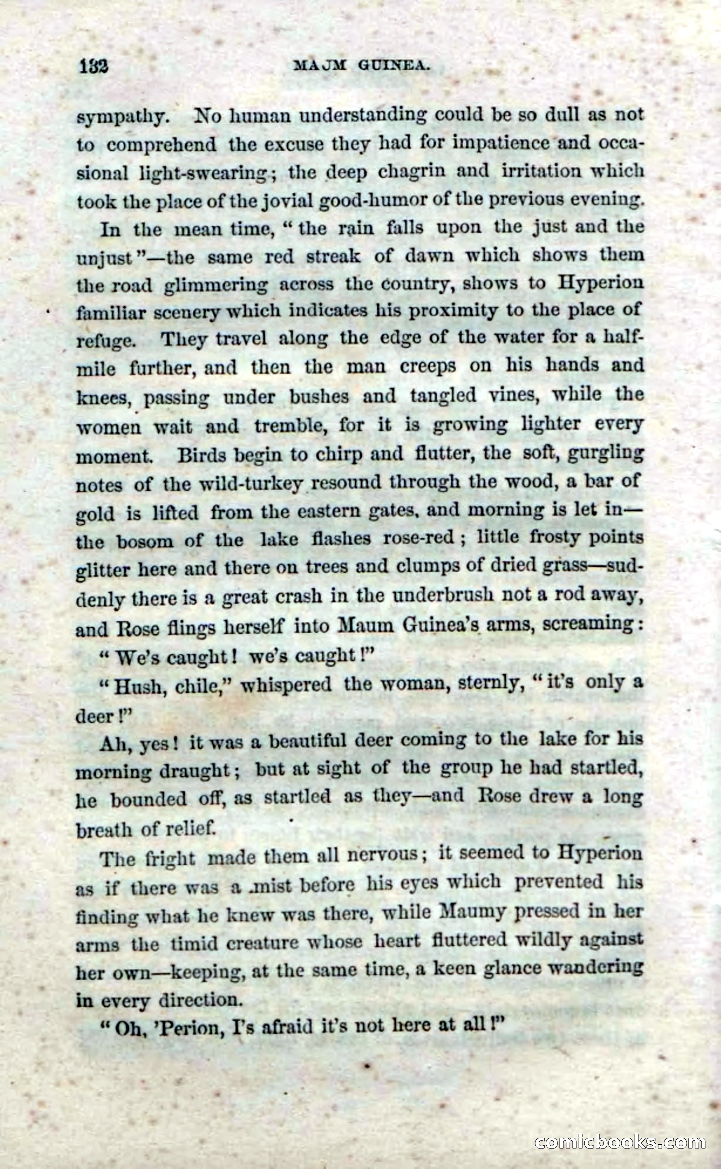 Beadle's Dime Novels No. 33: Maum Guinea and Her Plantation Children — page 142 of 228