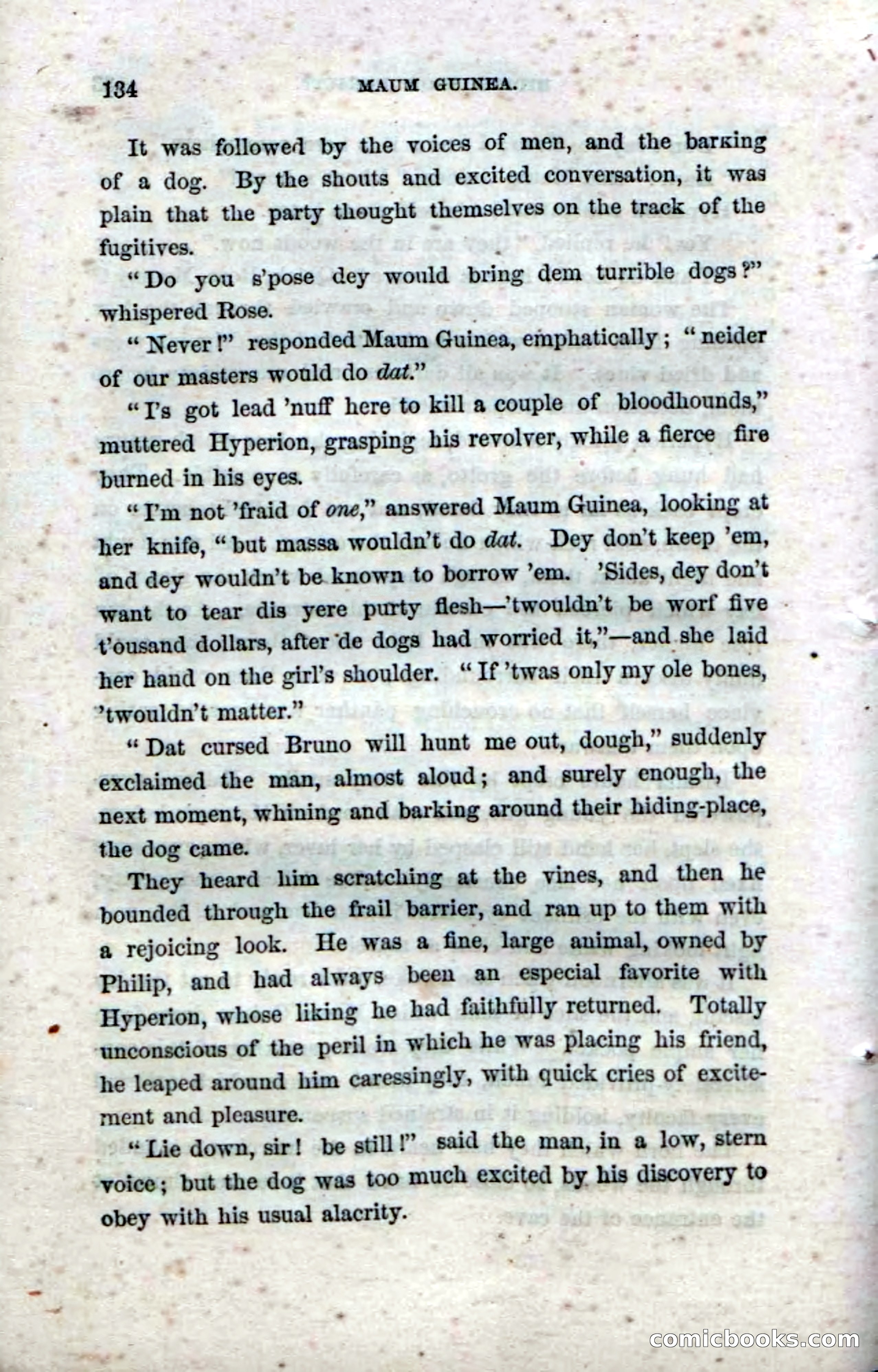 Beadle's Dime Novels No. 33: Maum Guinea and Her Plantation Children — page 144 of 228