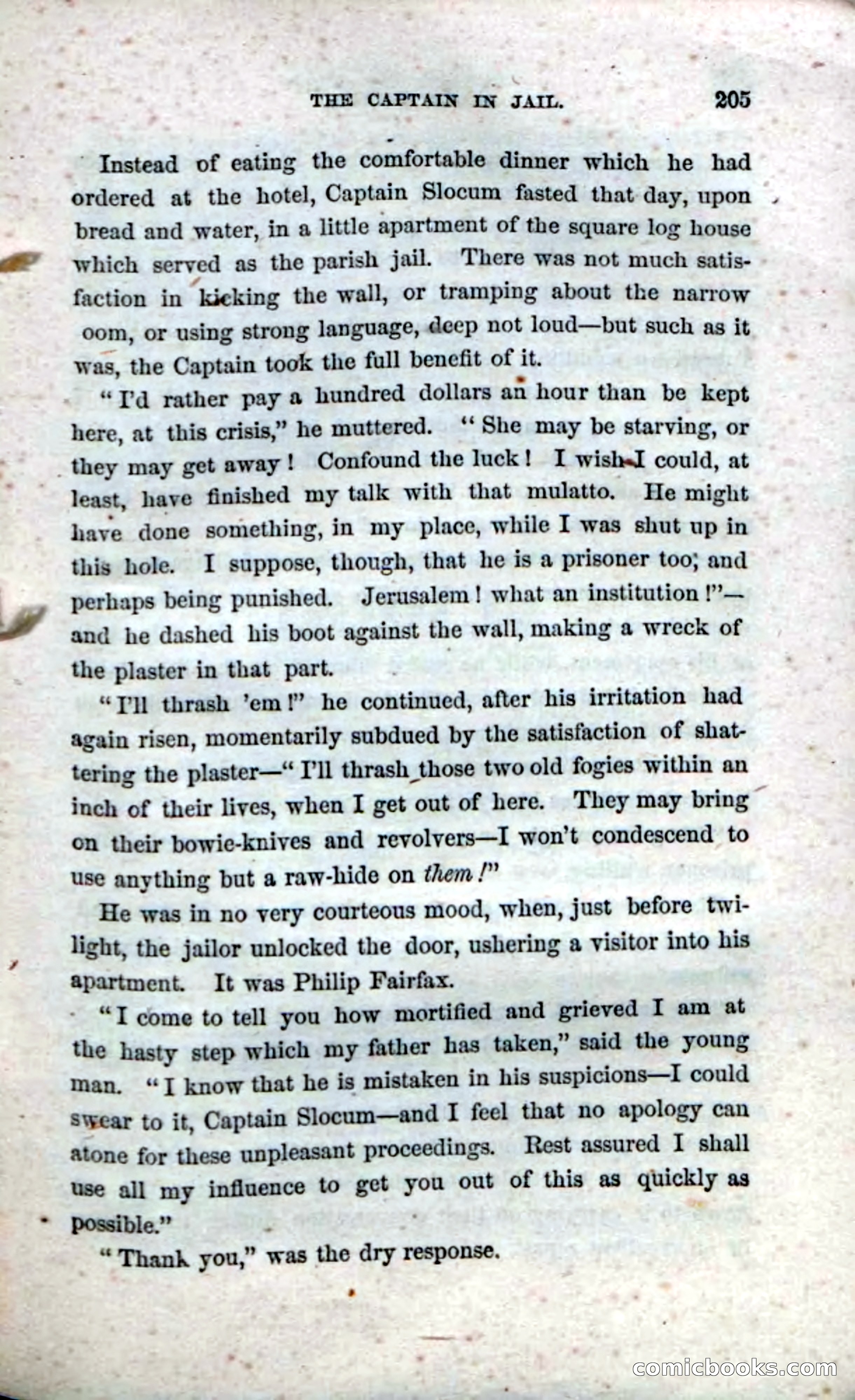 Beadle's Dime Novels No. 33: Maum Guinea and Her Plantation Children — page 215 of 228