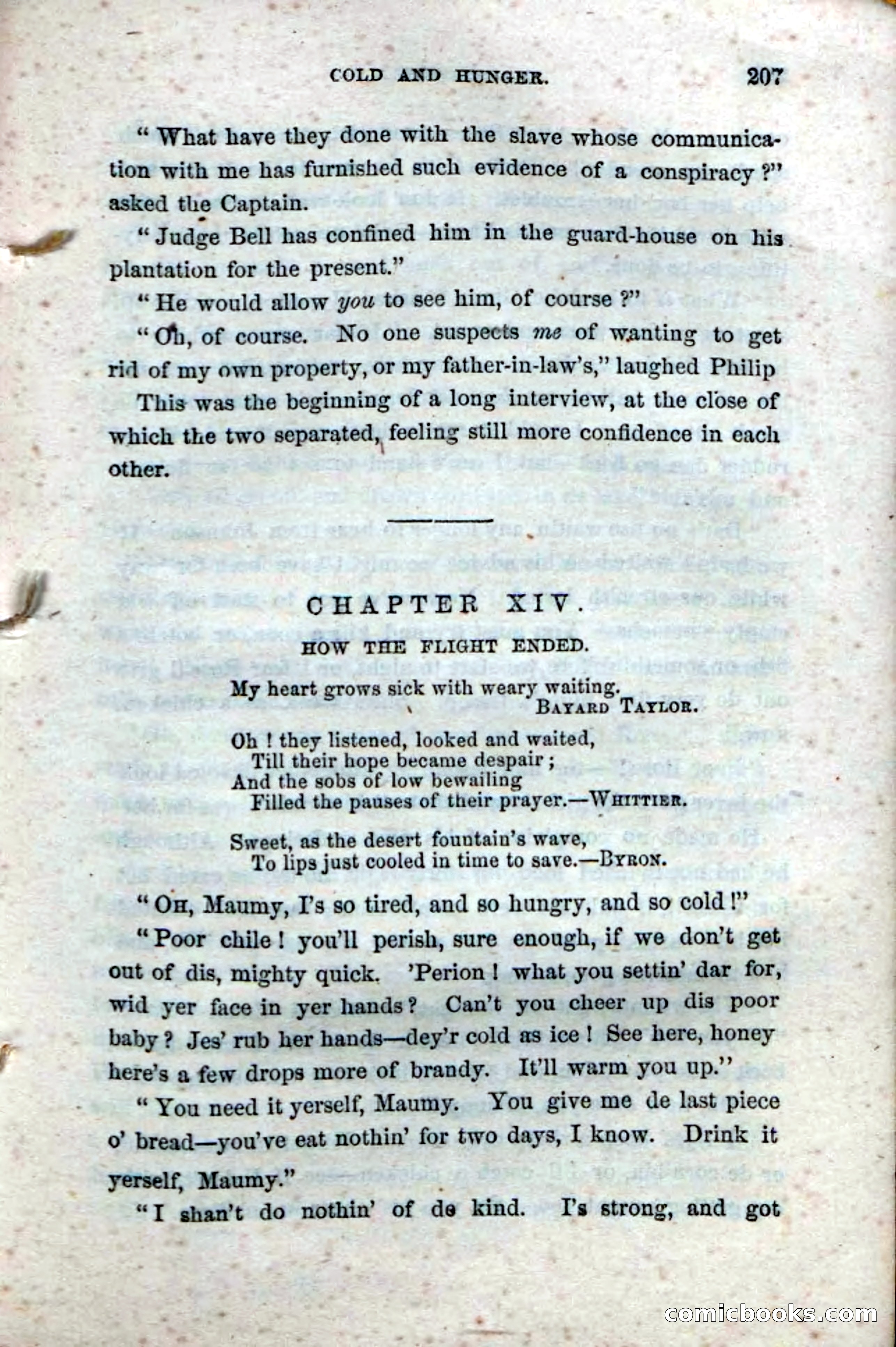 Beadle's Dime Novels No. 33: Maum Guinea and Her Plantation Children — page 217 of 228