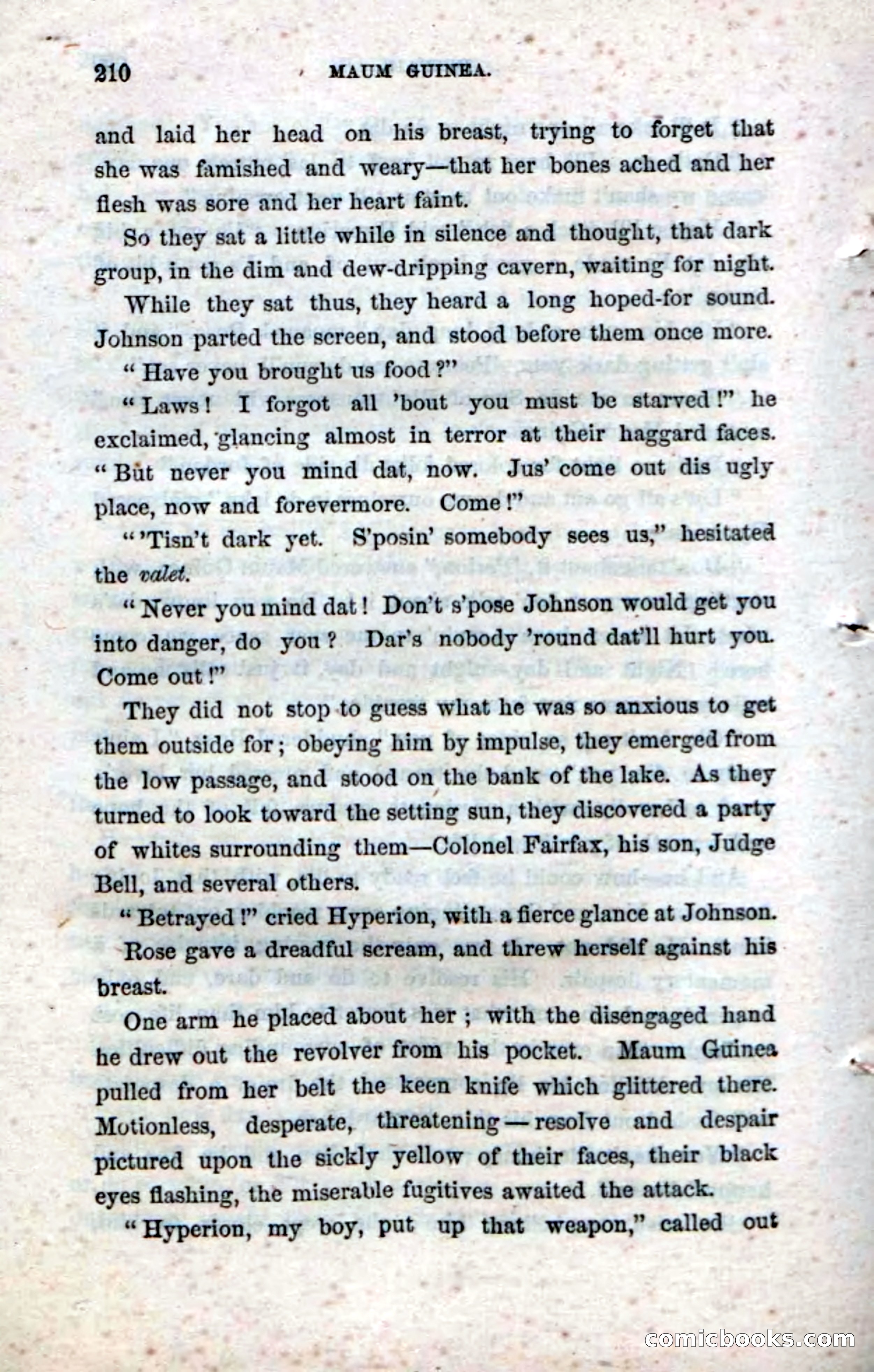 Beadle's Dime Novels No. 33: Maum Guinea and Her Plantation Children — page 220 of 228