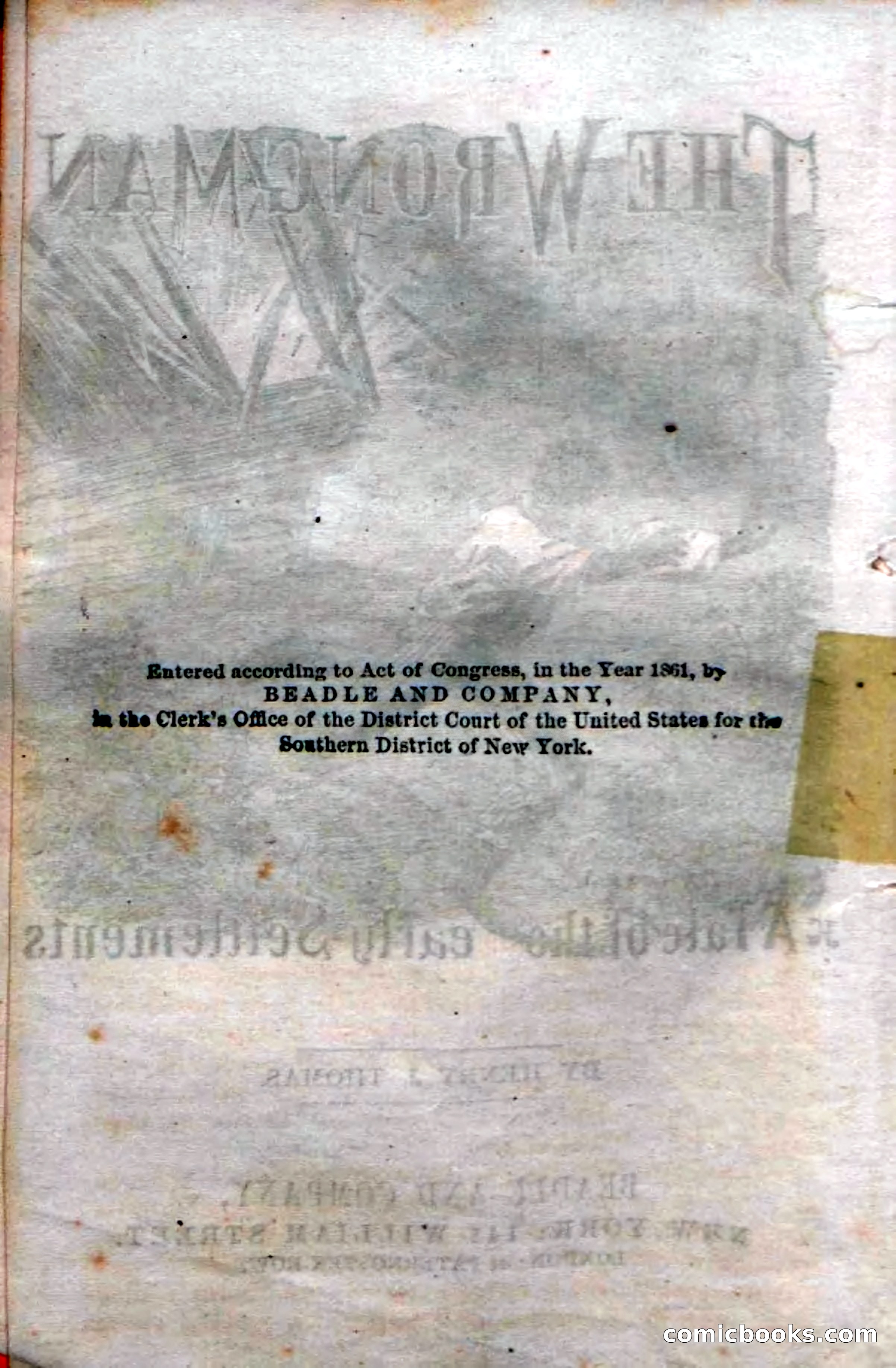 Beadle's Dime Novels No. 38: The Wrong Man — page 6 of 120