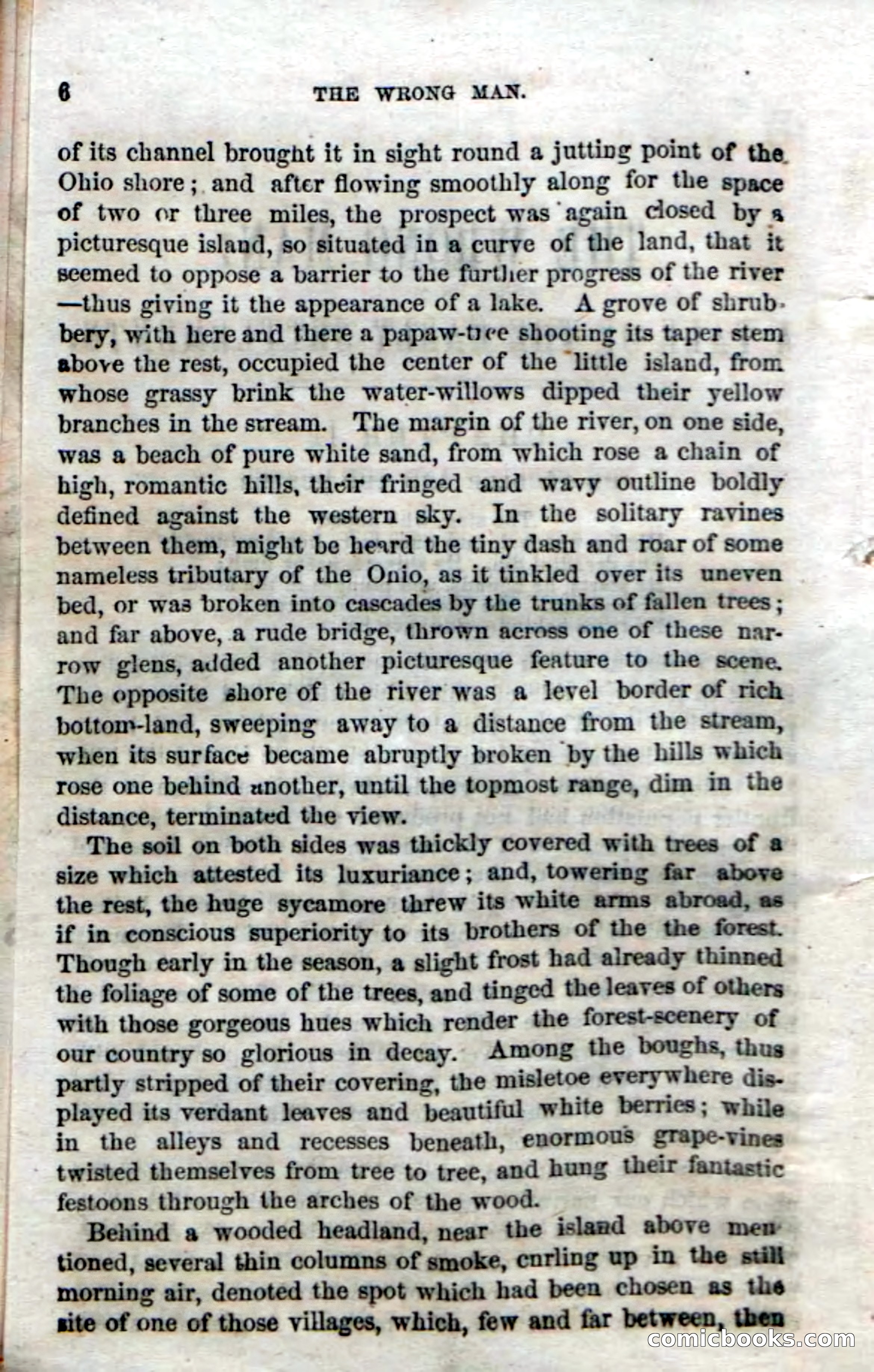 Beadle's Dime Novels No. 38: The Wrong Man — page 8 of 120