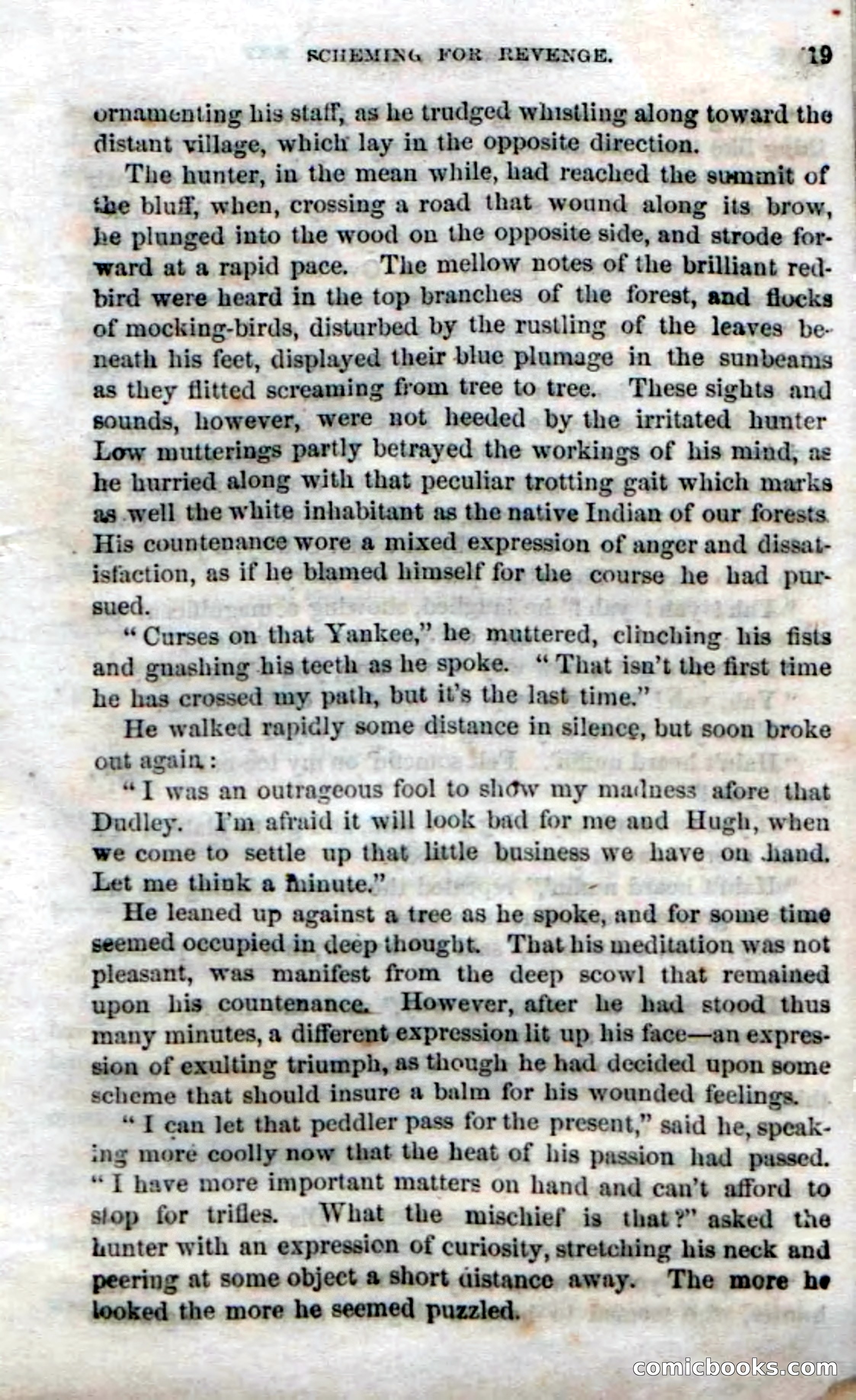 Beadle's Dime Novels No. 38: The Wrong Man — page 17 of 120