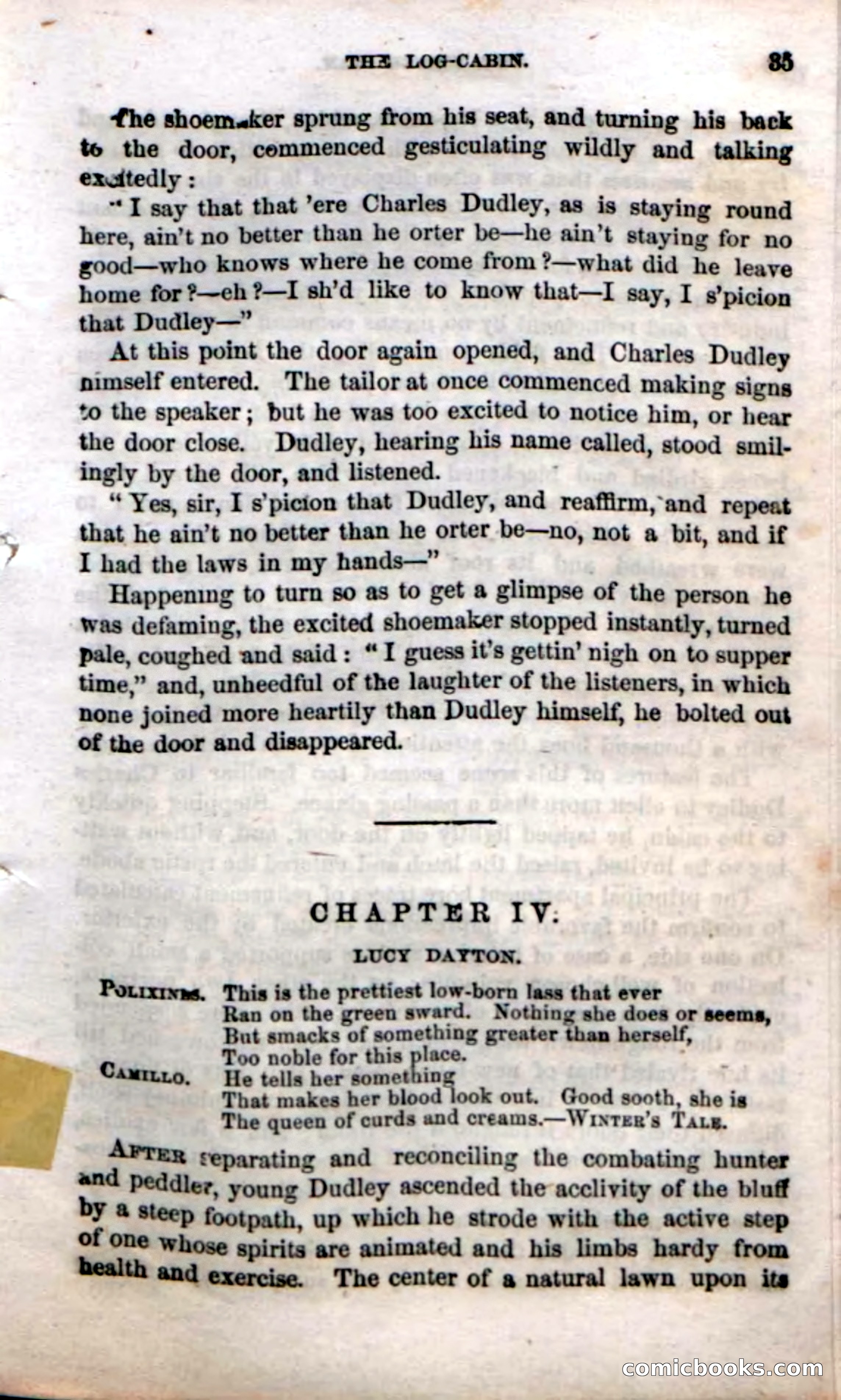 Beadle's Dime Novels No. 38: The Wrong Man — page 33 of 120