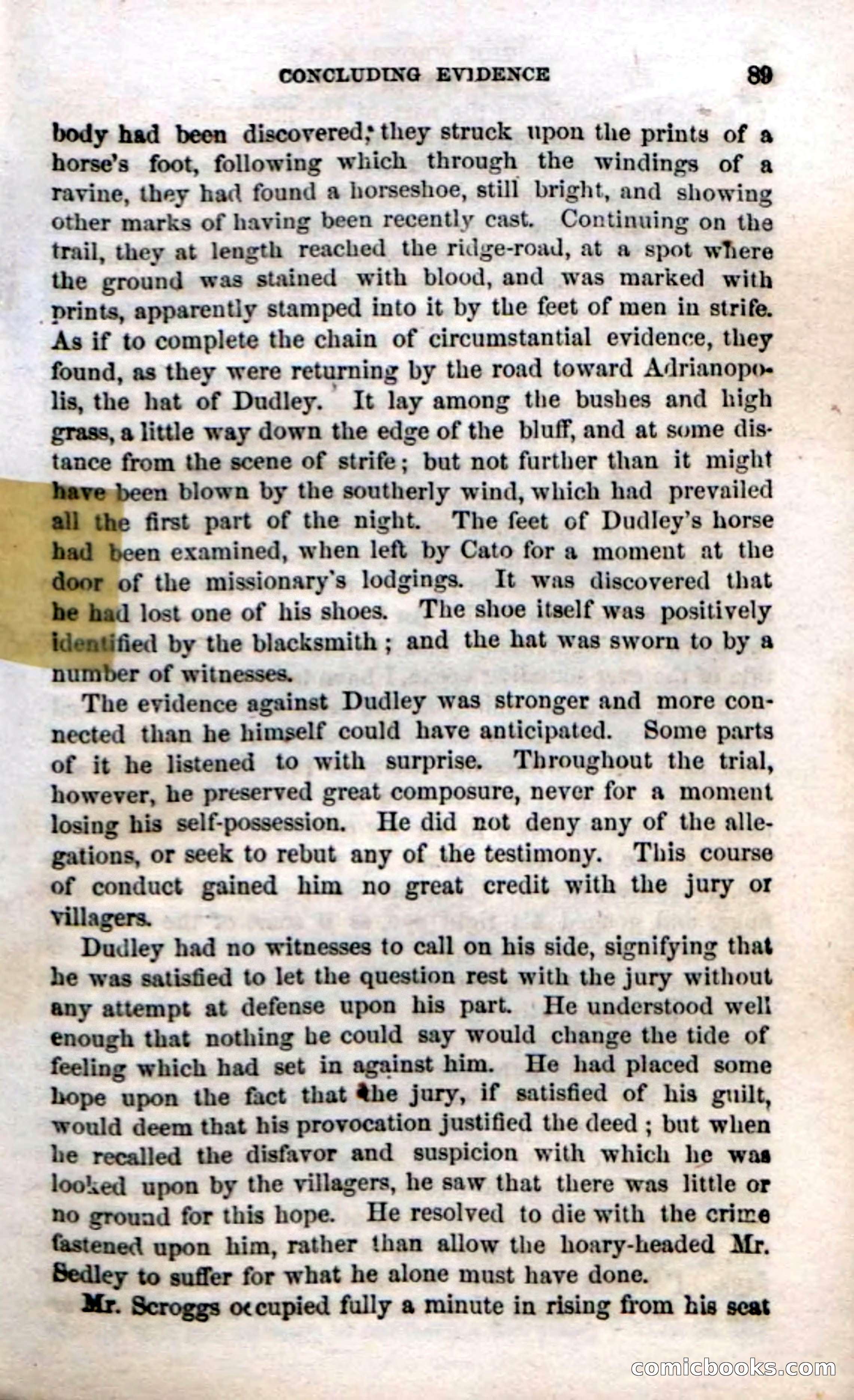 Beadle's Dime Novels No. 38: The Wrong Man — page 87 of 120