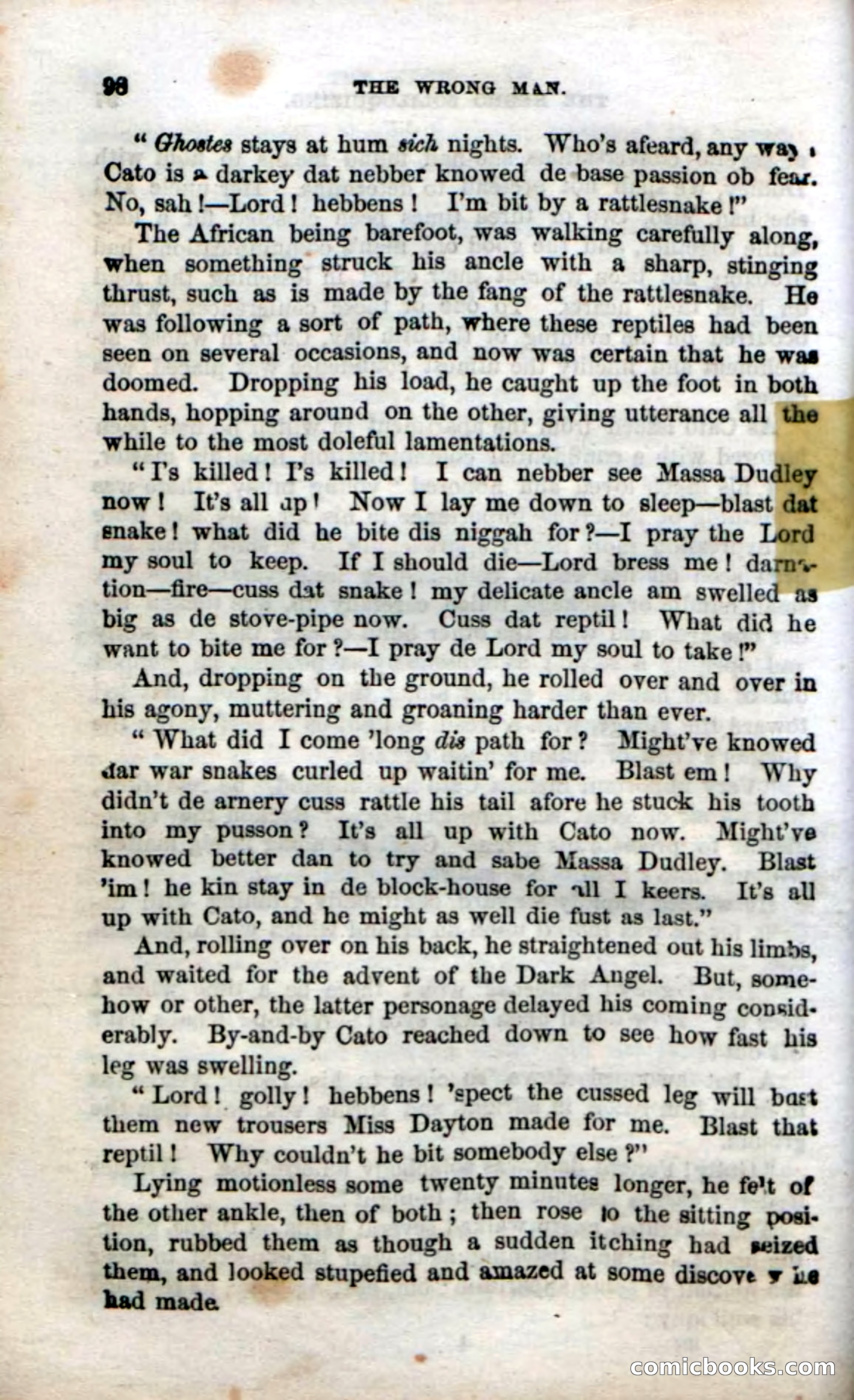 Beadle's Dime Novels No. 38: The Wrong Man — page 96 of 120