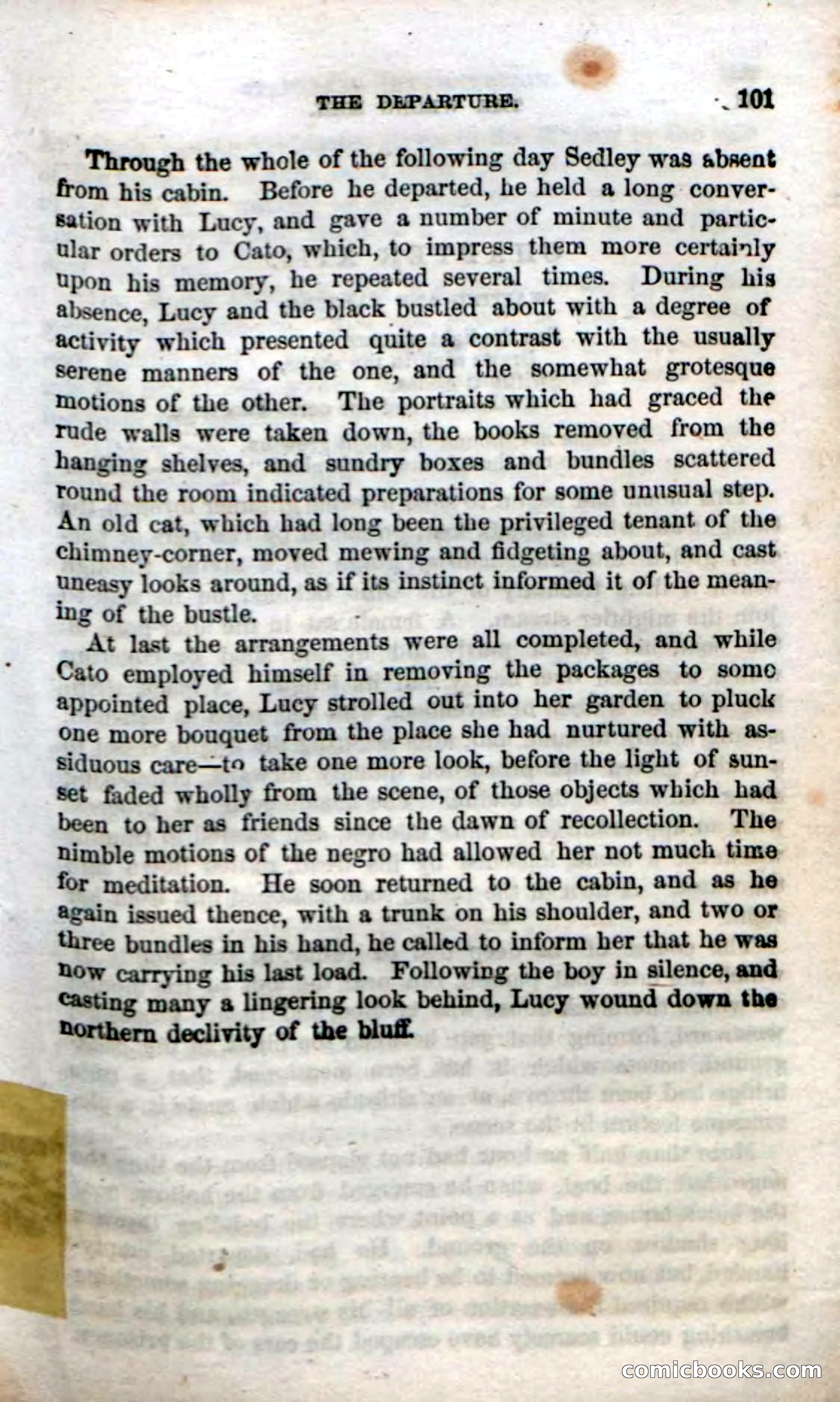 Beadle's Dime Novels No. 38: The Wrong Man — page 99 of 120